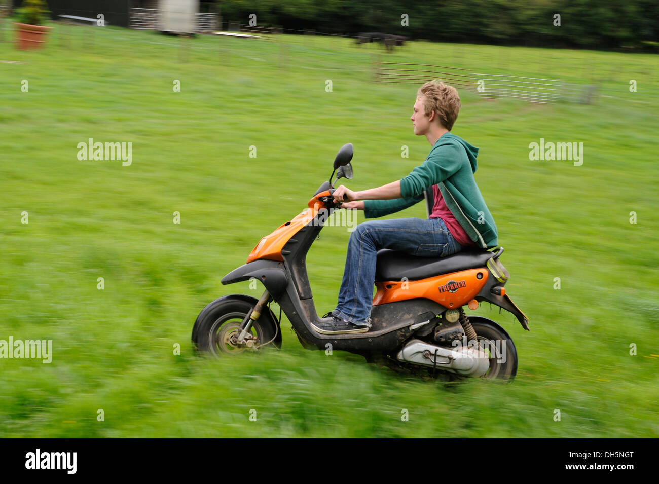 Ragazzo adolescente a cavallo di uno scooter su erba senza un casco Foto Stock