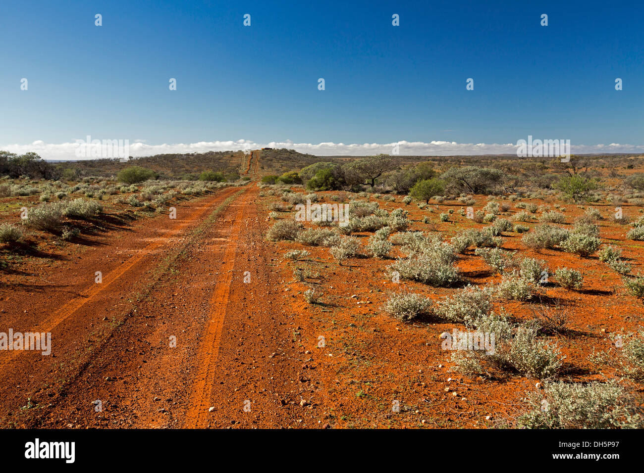 Outback australiano paesaggio con lunga strada rosso tra vaste pianure brulla della stazione di pecora nel nord del Sud Australia per lontano orizzonte Foto Stock