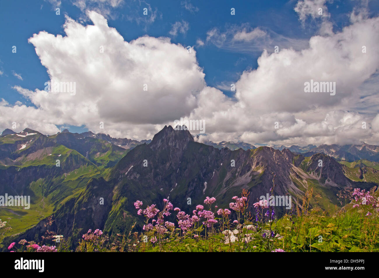 Hoefats montagna, 2259m, vista da Laufbacher Eck-Weg sentiero escursionistico, Algovia, Allgäuer Alpen, Baviera, Germania Foto Stock