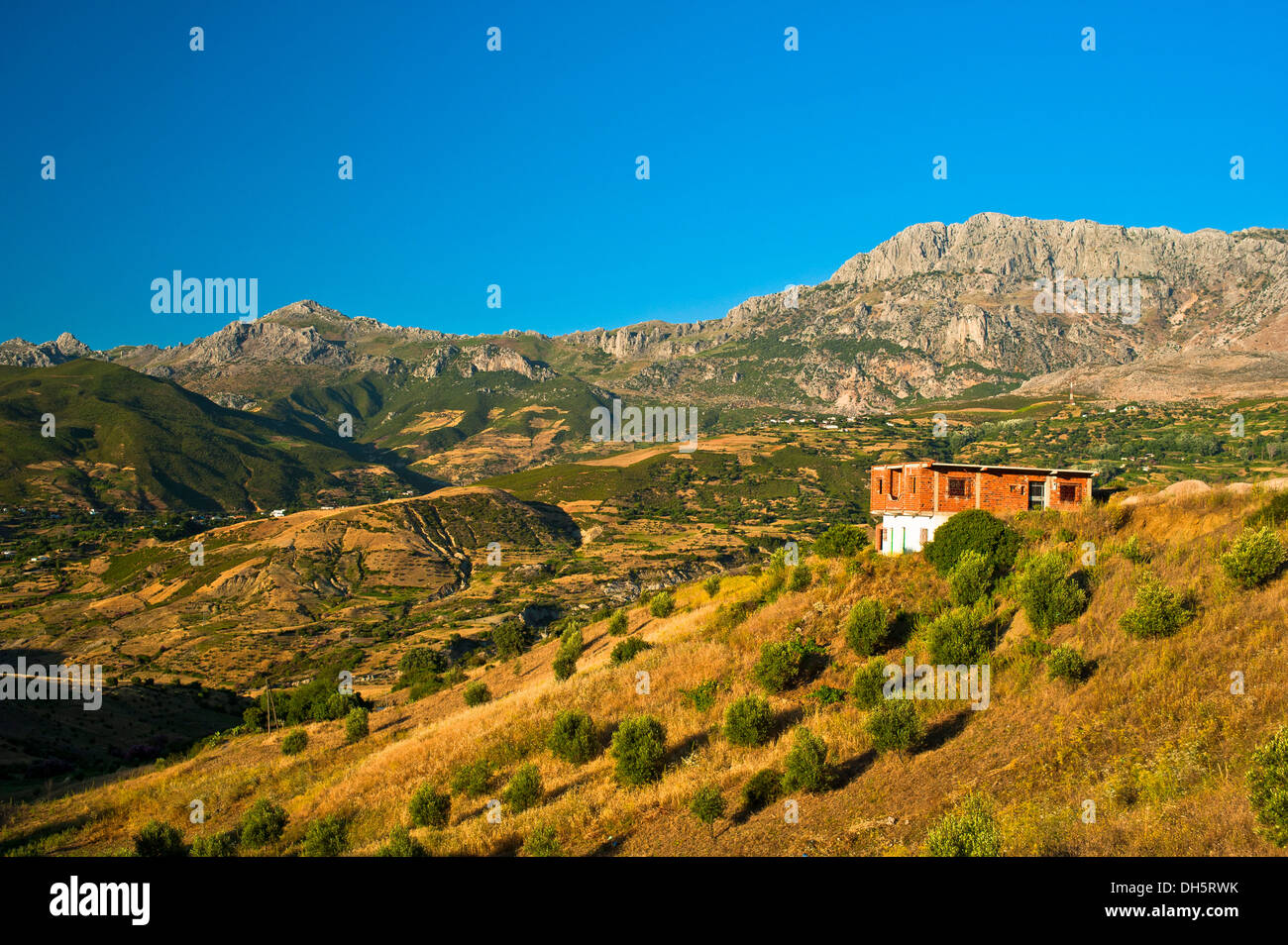 Tipico paesaggio di montagna con casa, campi piccoli e olivi nel Rif o Riff Monti settentrionali del Marocco Marocco Foto Stock