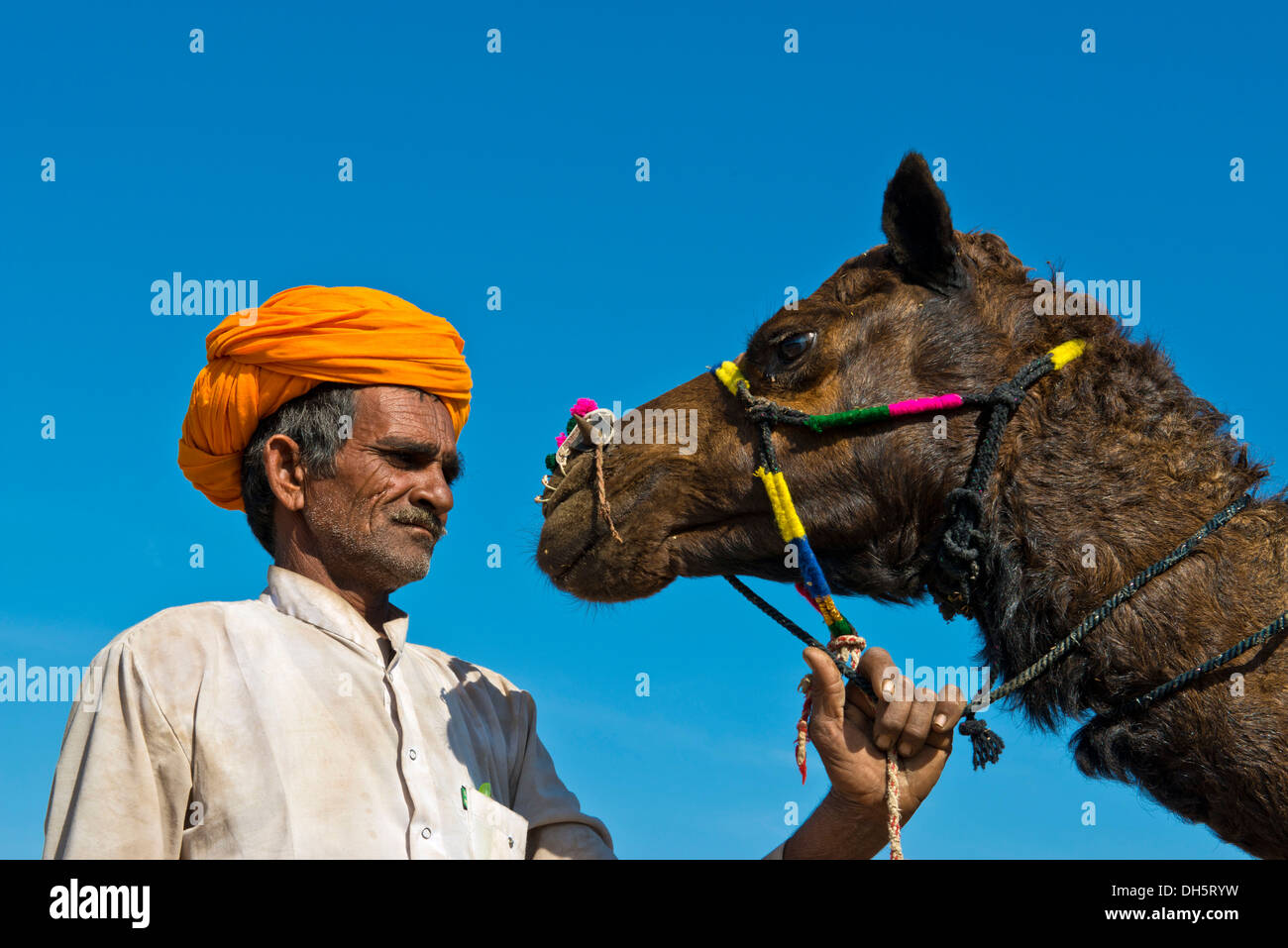 Uomo indiano con un turban arancione tenendo il suo cammello da le redini, Pushkar Camel Fair, Pushkar, Rajasthan, India Foto Stock