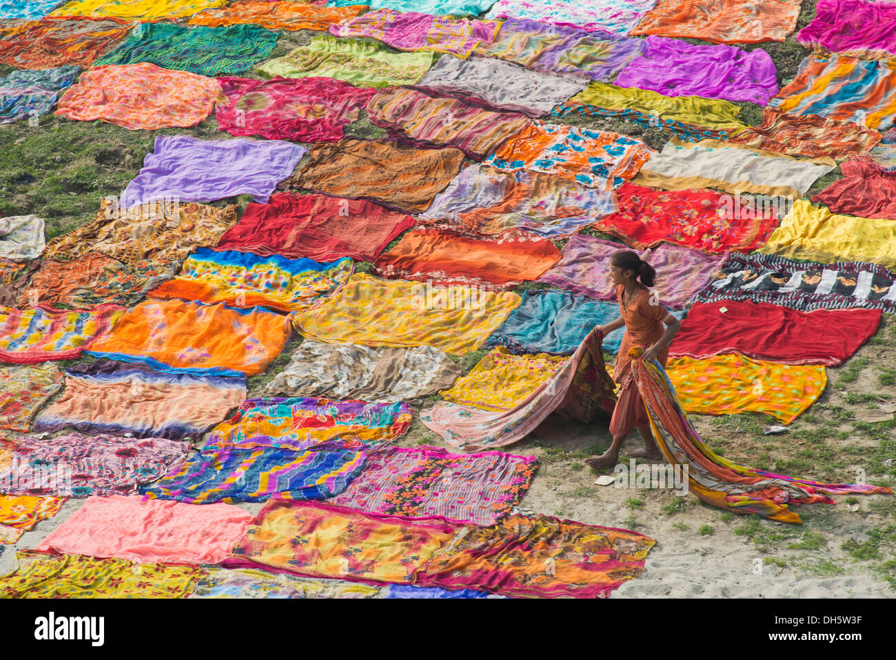 Sari colorati che posa a secco dopo un lavaggio su un sandbank sulle rive del fiume Yamuna, una donna indiana sta portando la Foto Stock