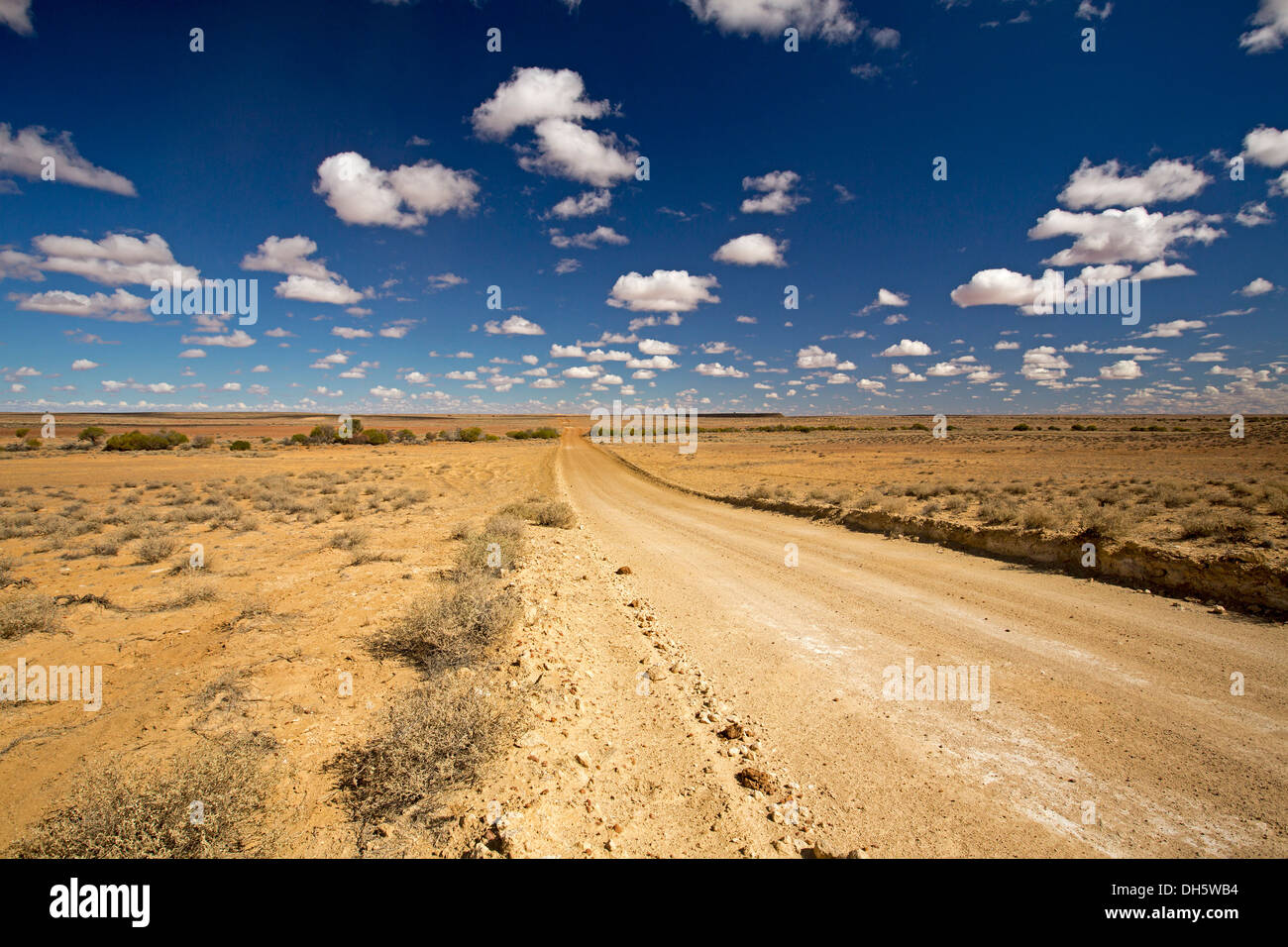Paesaggio con lunga sterrata che spazia su tutta la vasta pianura di outback australiano vicino al lago Eyre nel nord del Sud Australia Foto Stock