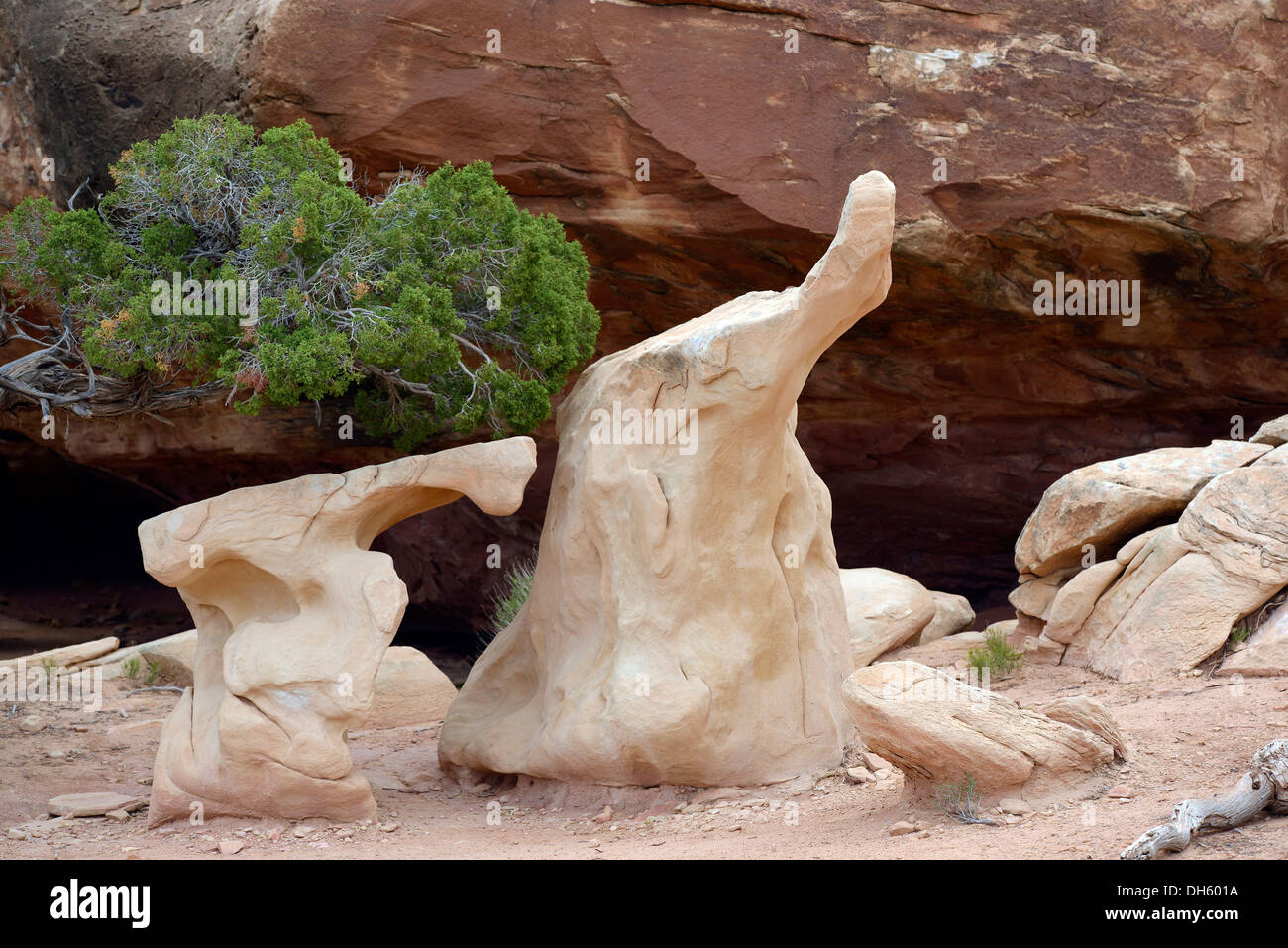 Little Elephant rock formazione, Buche punto, gli aghi District, il Parco Nazionale di Canyonlands, Utah, Stati Uniti d'America Foto Stock