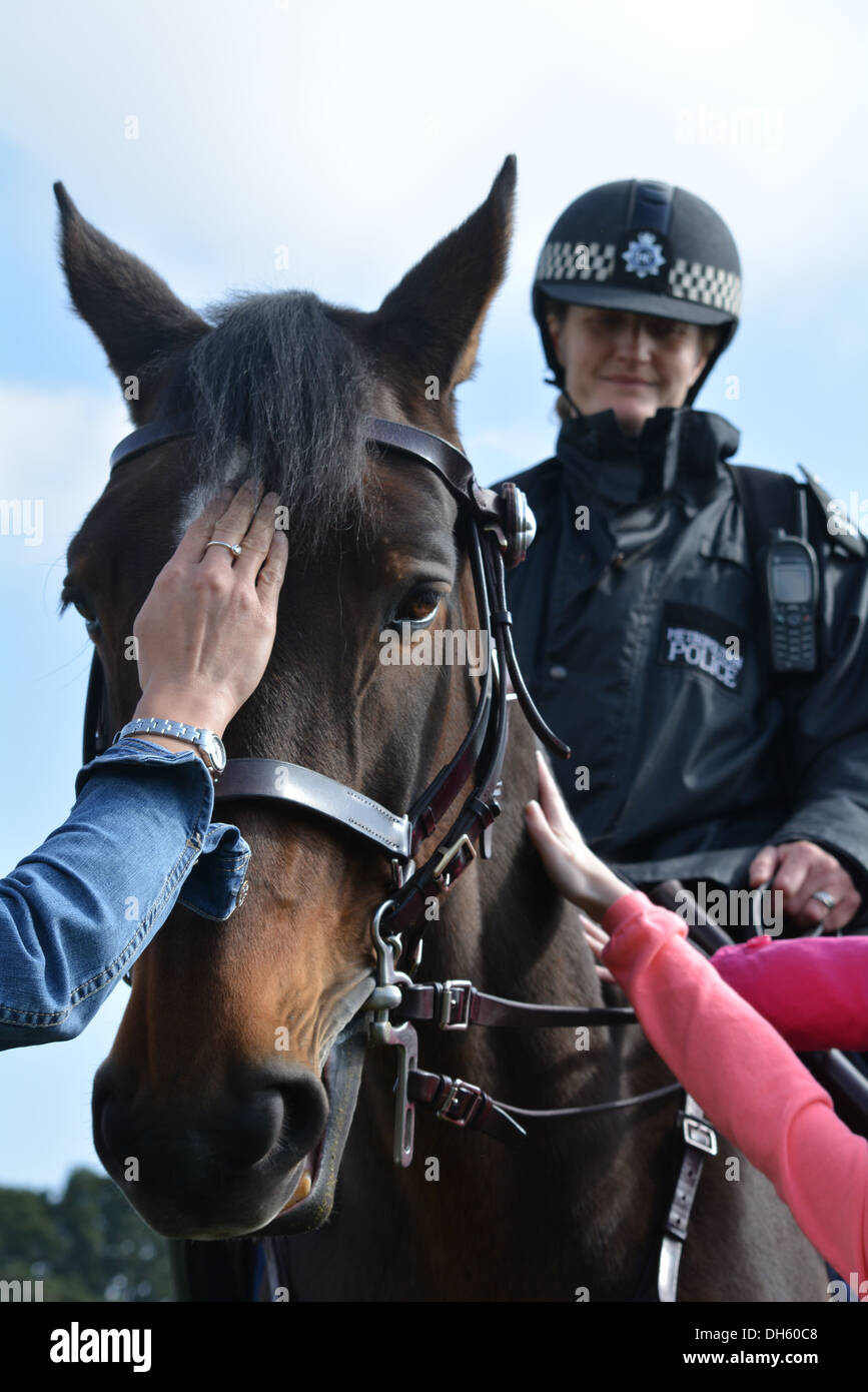 Donna di polizia a cavallo. Foto Stock