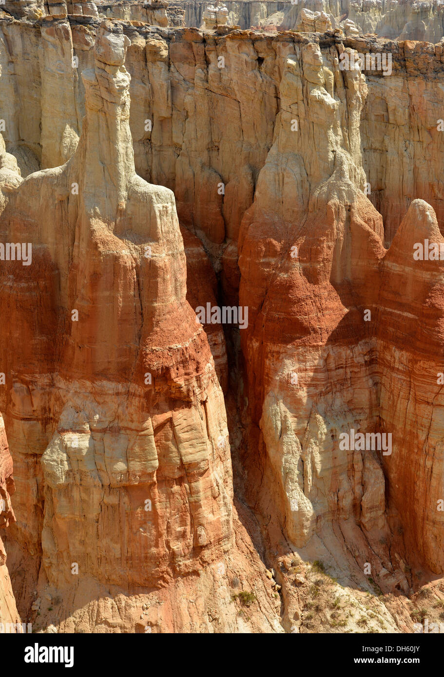 Hoodoos eroso e formazioni rocciose scolorito con minerali della miniera di carbone di Canyon, miniera di carbone Mesa, Deserto Dipinto, Hopi Prenotazione Foto Stock
