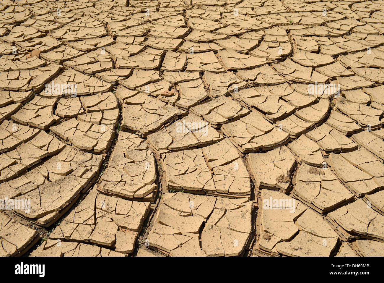 La mancanza di acqua, crepe di fango in un essiccato fino foro per l'acqua, Deserto Dipinto, Hopi Riserva Navajo Nation Reservation, Arizona Foto Stock