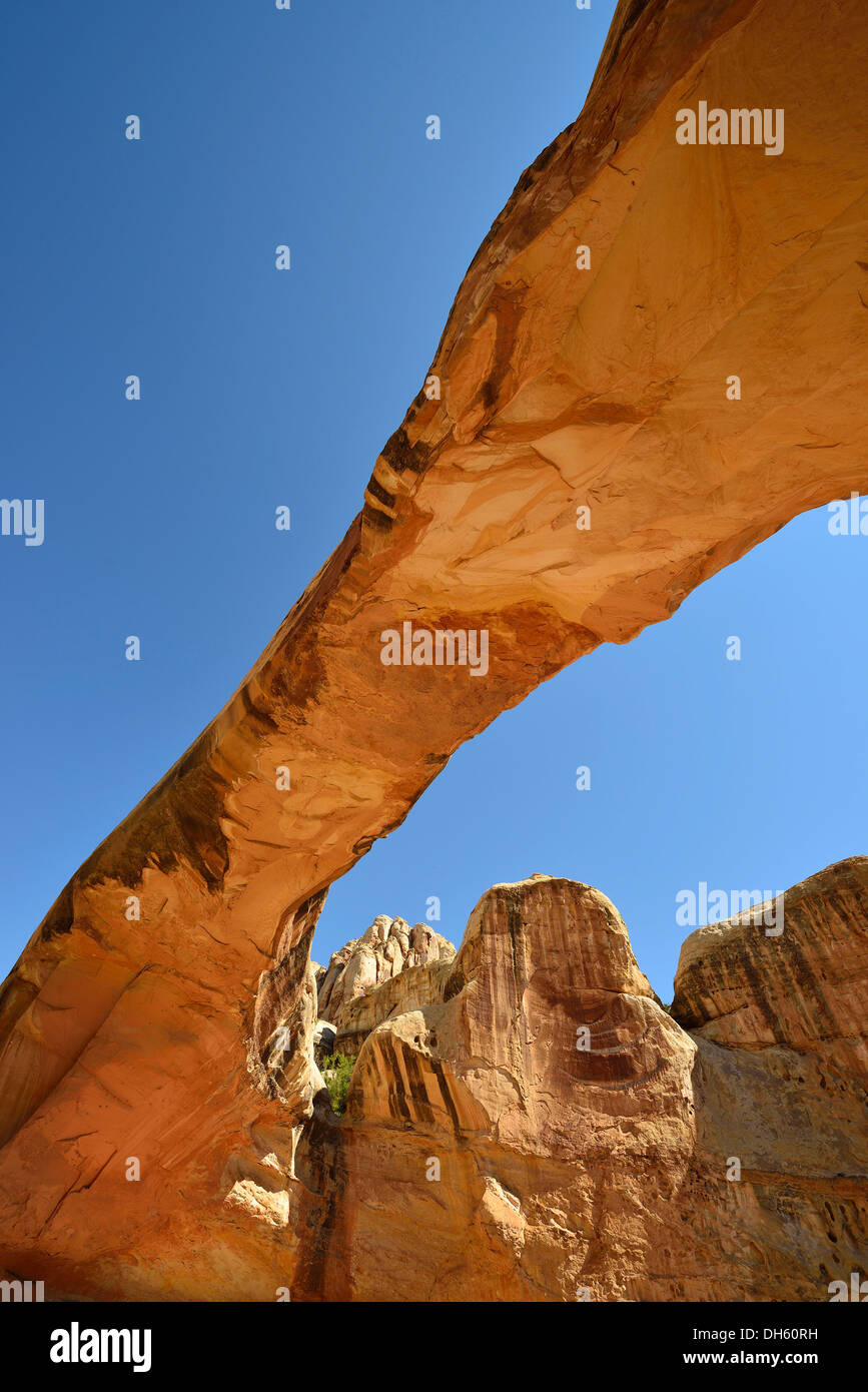 Hickman Bridge Trail, Capitol Reef National Park nello Utah, Stati Uniti d'America Foto Stock