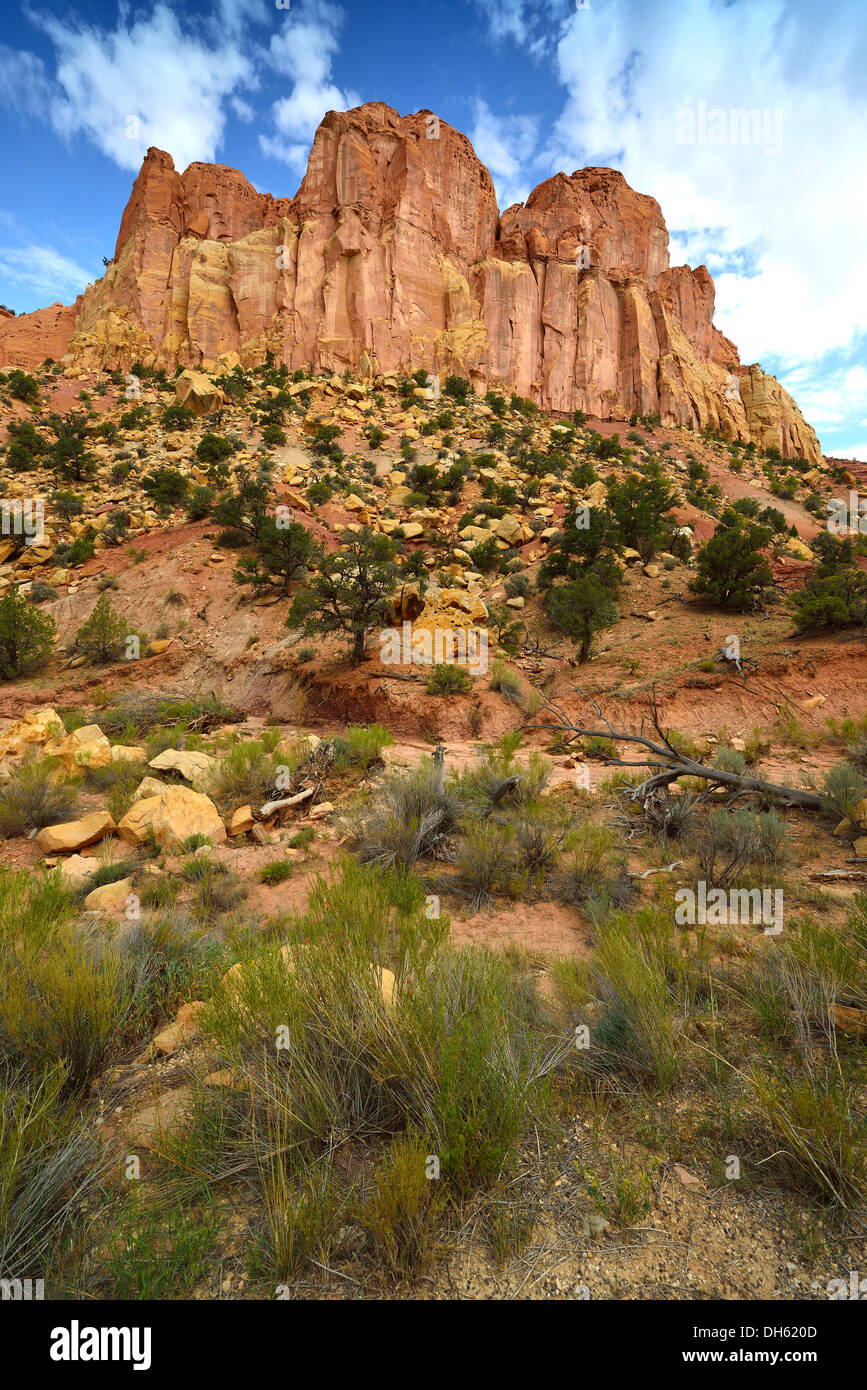 Il "Castello", leggendario Burr Trail Road, il Grand Staircase-Escalante monumento nazionale, GSENM, Utah, Stati Uniti d'America Southwestern, STATI UNITI D'AMERICA Foto Stock