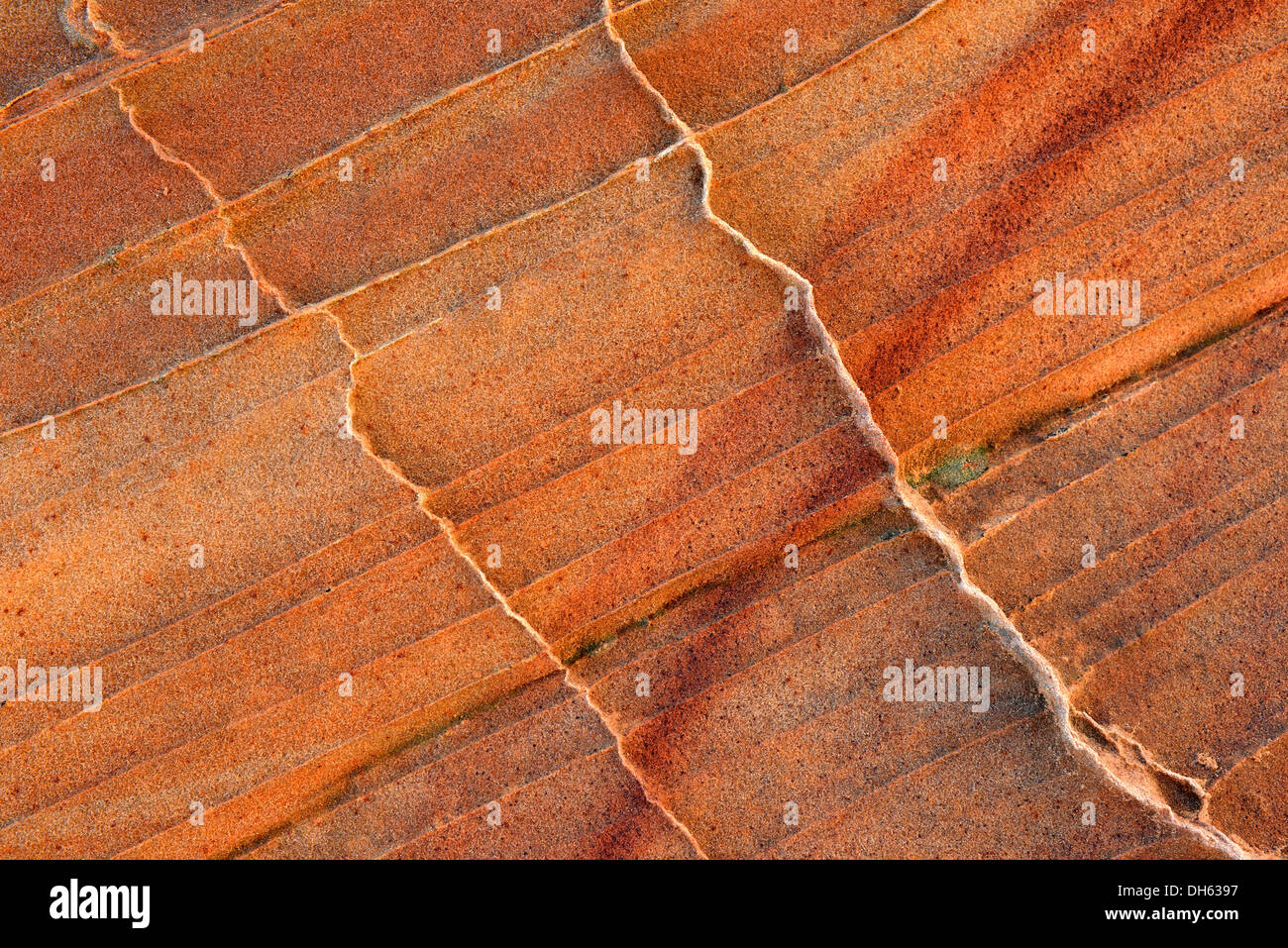 Vista in dettaglio della tipica Liesegang fascette o anelli di Liesegang, Coyote Buttes Sud CBS, pioppi neri americani Teepees, eroso arenaria Navajo Foto Stock