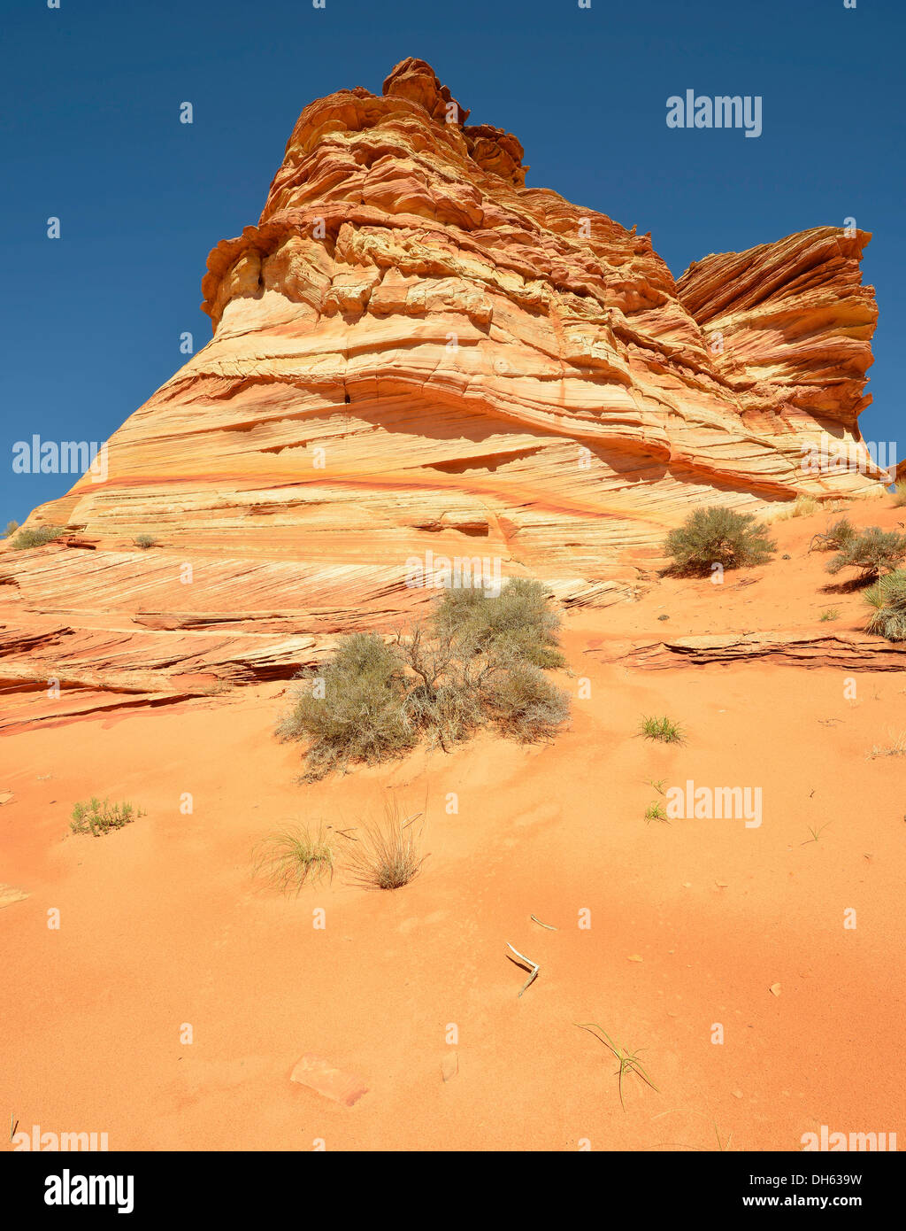 "La Grotta", cervello rocce di Coyote Buttes Sud CBS, pioppi neri americani Teepees, eroso arenaria Navajo formazioni rocciose con Foto Stock
