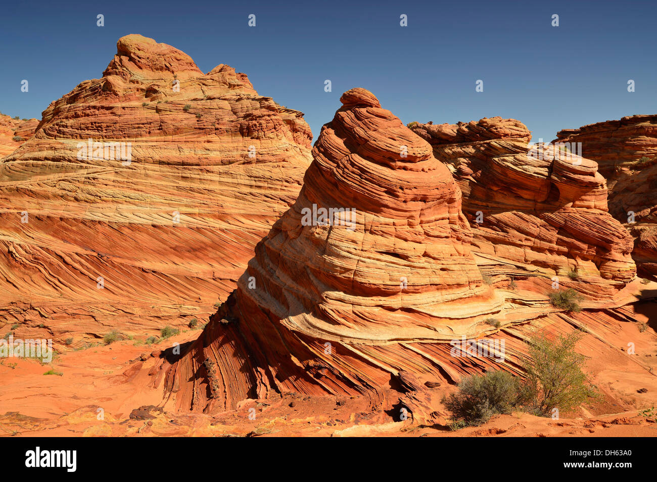 "La Grotta", cervello rocce di Coyote Buttes Sud CBS, pioppi neri americani Teepees, eroso arenaria Navajo formazioni rocciose con Foto Stock