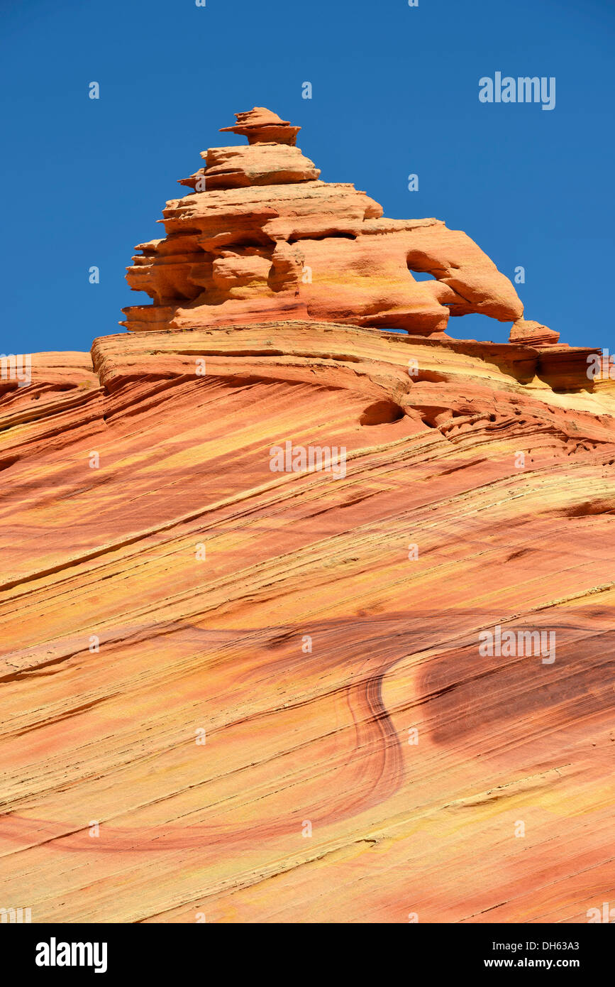 'Moonraker', cervello rocce di Coyote Buttes Sud CBS, pioppi neri americani Teepees, eroso arenaria Navajo formazioni rocciose con Foto Stock