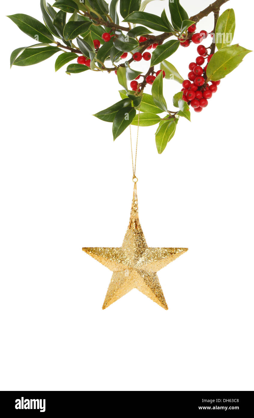Oro stella di Natale appeso a un ramo di agrifoglio isolata contro bianco Foto Stock