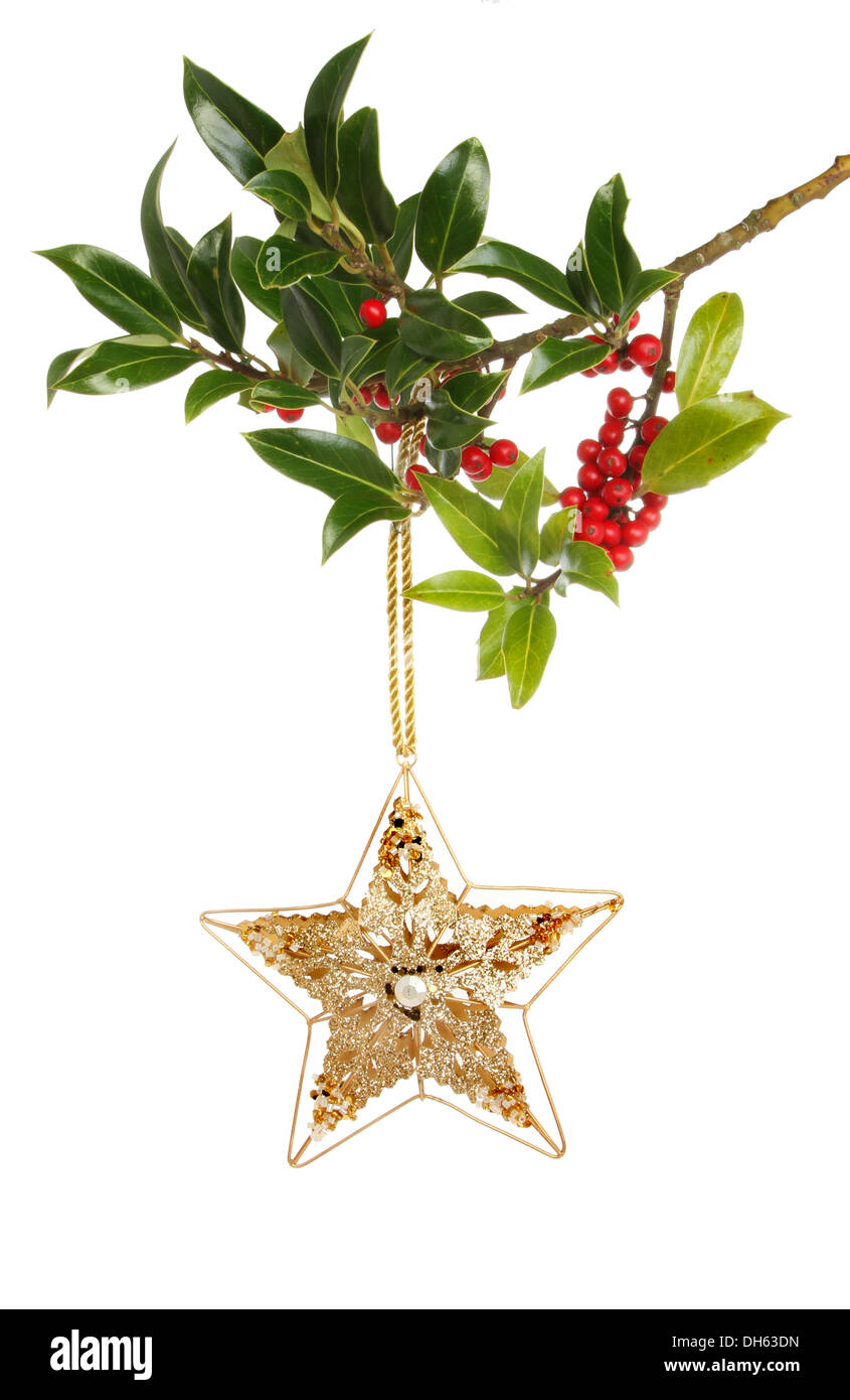 Oro glitter Natale stella appesa a un ramo di agrifoglio con maturi di bacche rosse contro uno sfondo bianco Foto Stock