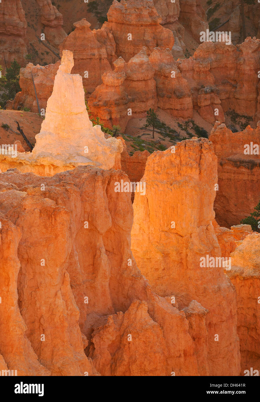 Il Papa rock formazione all'alba e tramonto punto, Parco Nazionale di Bryce Canyon, punto Al tramonto, Utah, Stati Uniti d'America, STATI UNITI D'AMERICA Foto Stock