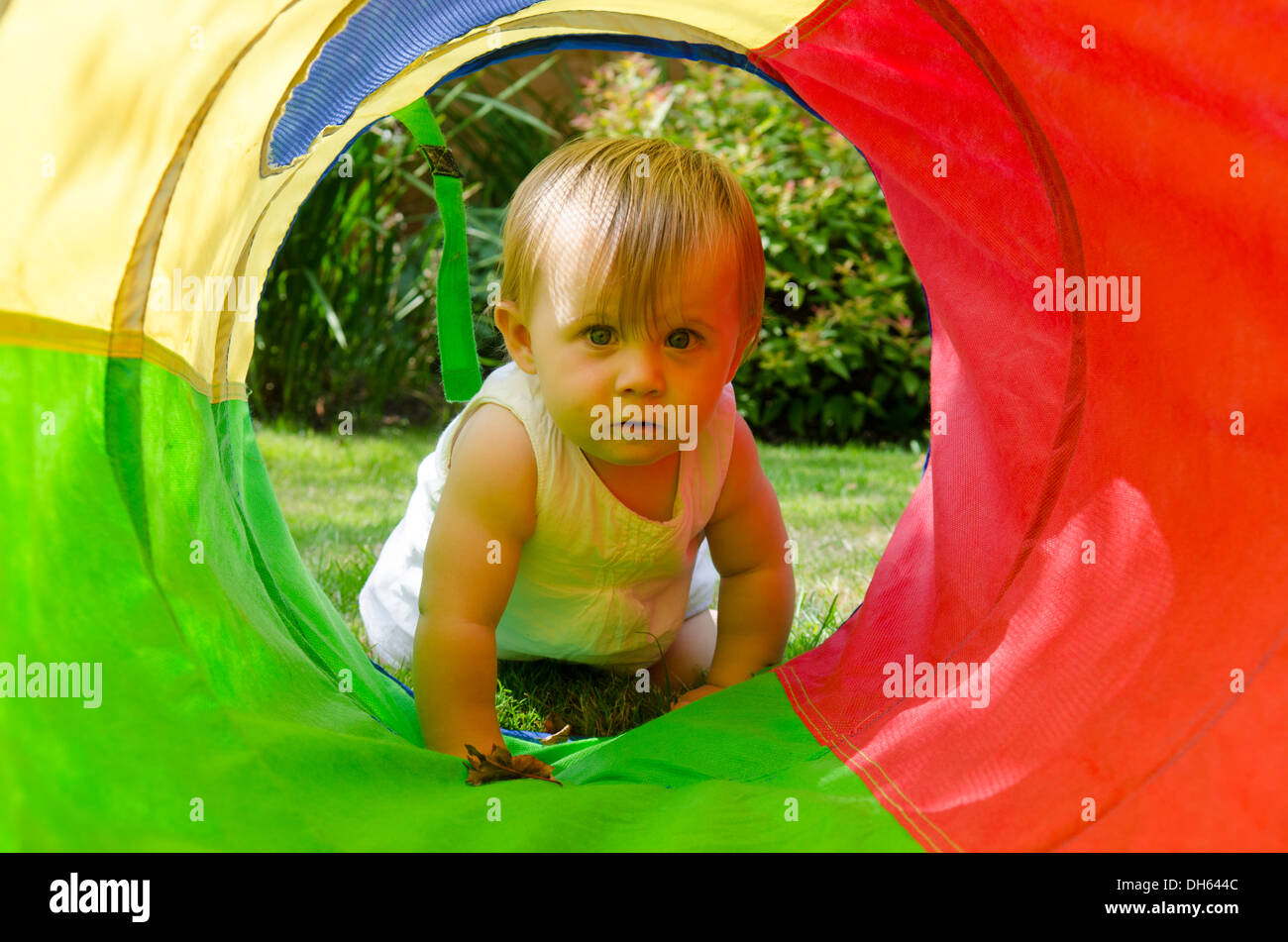 Nove mesi ragazza in giardino guardando attraverso il grande panno colorati Tubo giocattolo. Agosto. Regno Unito. Foto Stock