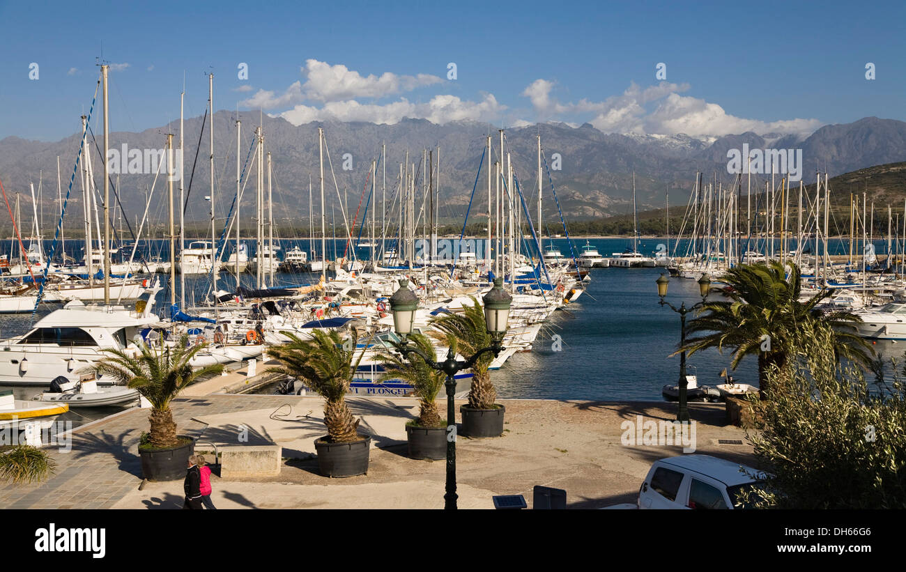 Il porto di Calvi, in Corsica, mare mediterraneo, Francia, Europa Foto Stock