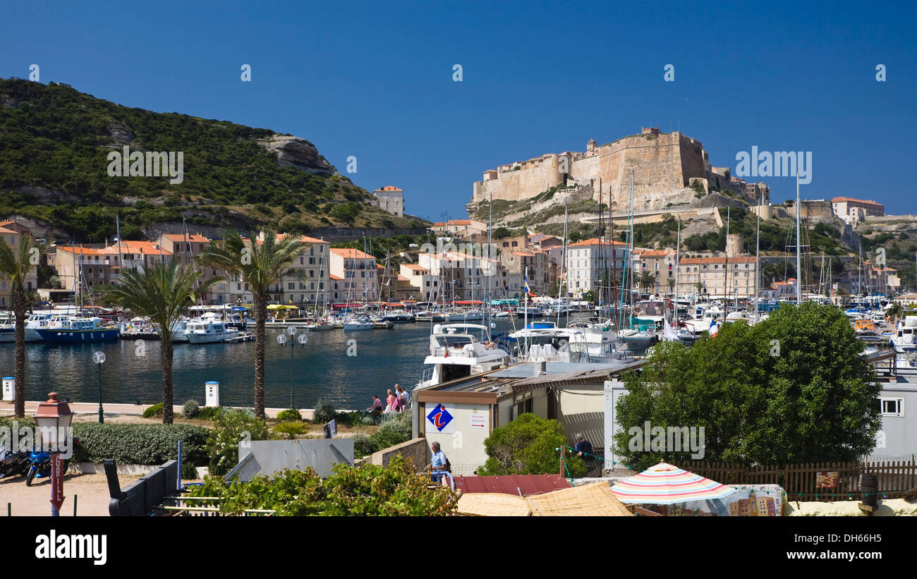 Porto di Bonifacio con Citadel, south coast, Corsica, mare mediterraneo, Francia, Europa Foto Stock