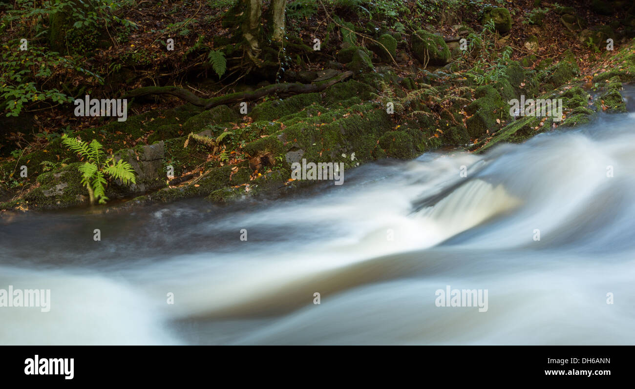 Il fiume Okement come fluisce attraverso l'Est valle Okement Parco Nazionale di Dartmoor Devon UK Foto Stock
