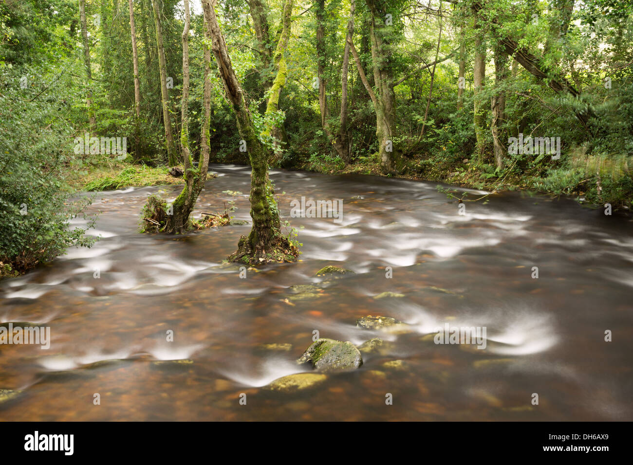 Il fiume Taw come fluisce attraverso la valle Skaigh Parco Nazionale di Dartmoor Devon UK Foto Stock