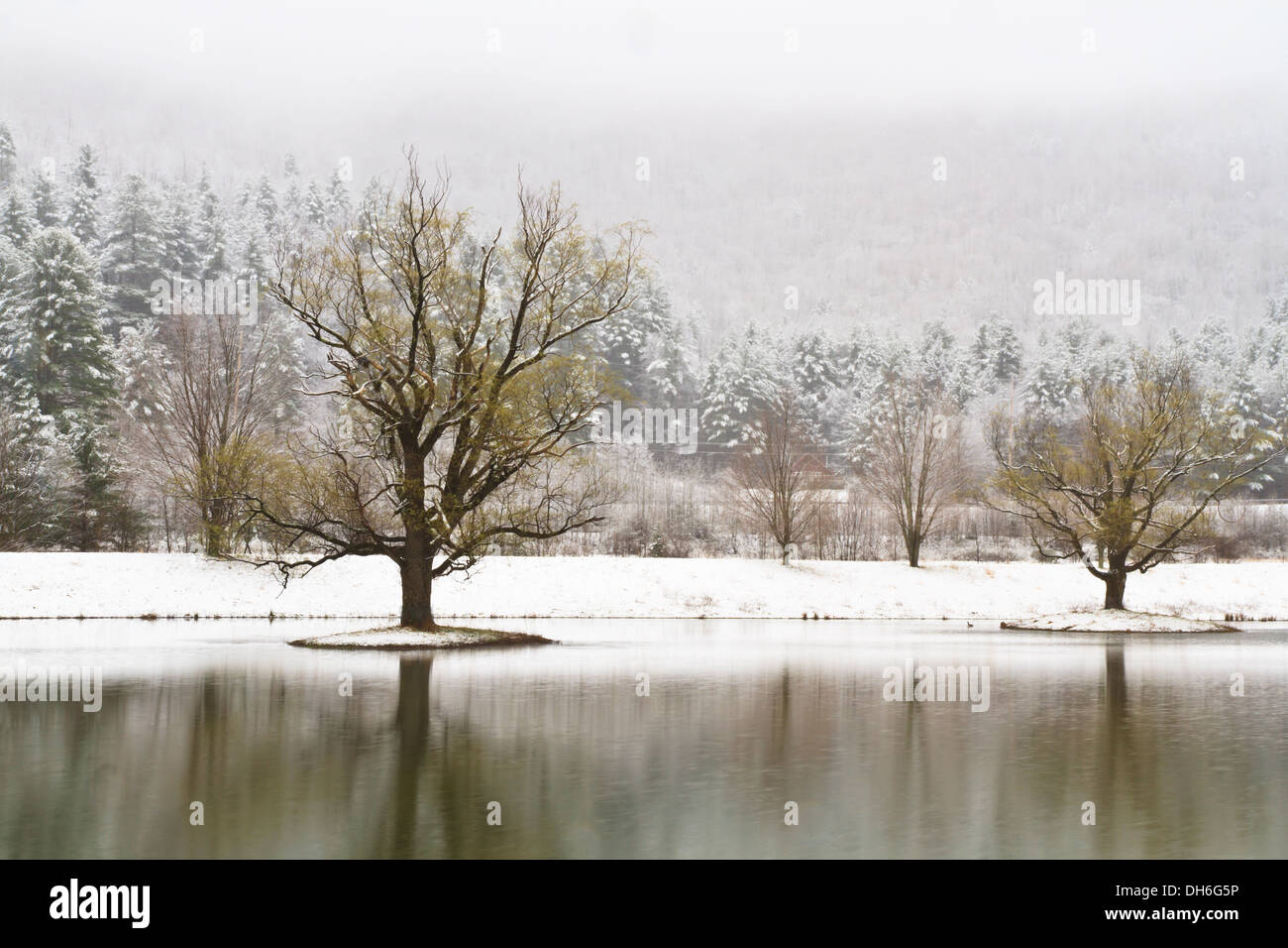 Coperte di neve isole con alberi su un Catskills Mountains lago vicino Big indiani, New York Foto Stock
