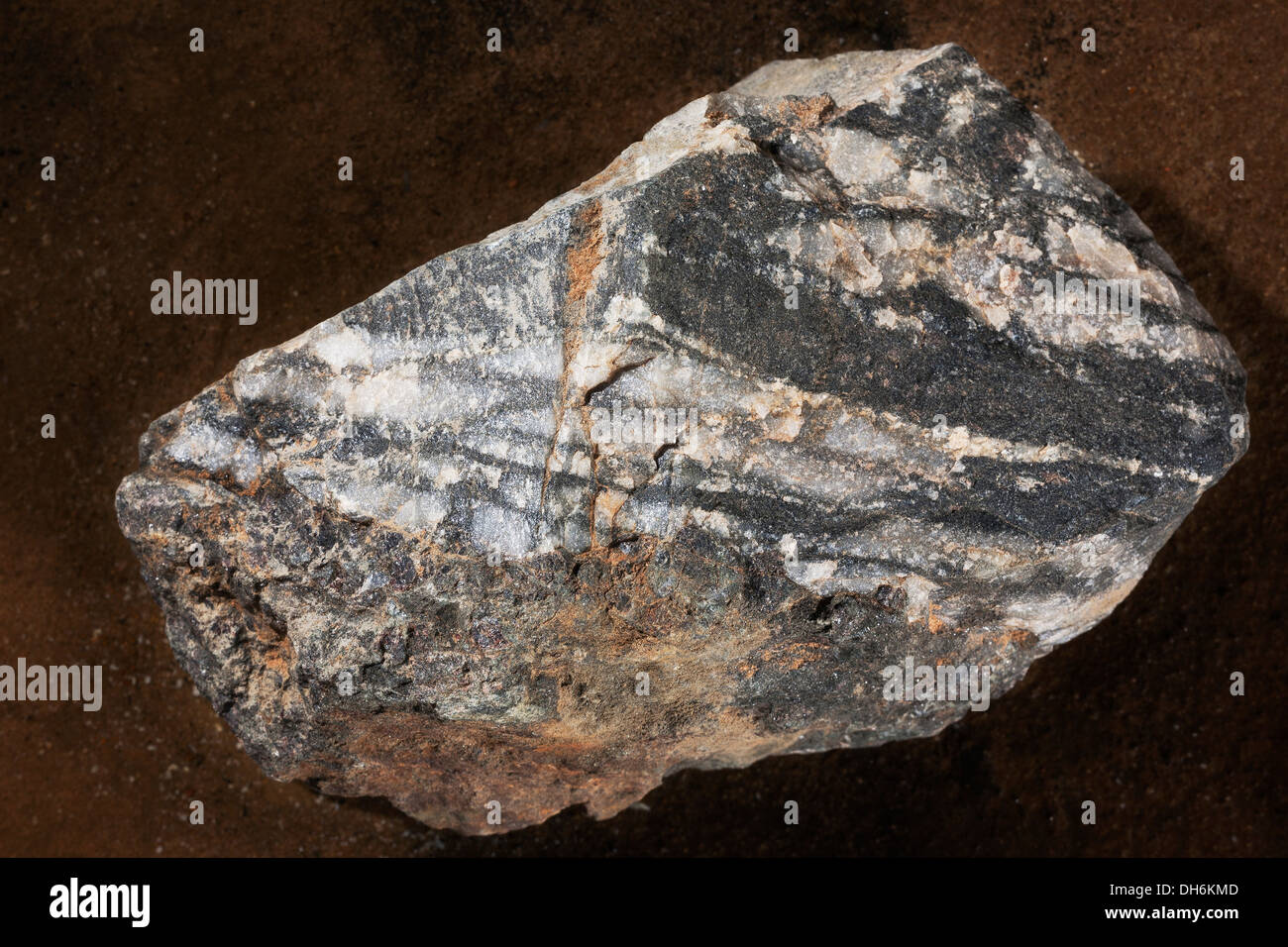 Geologiche Unweathered campione con black rock mostra nastrare il ferro in forma di magnetite e il bianco è silice. Garnet si vede in alto a destra. Foto Stock
