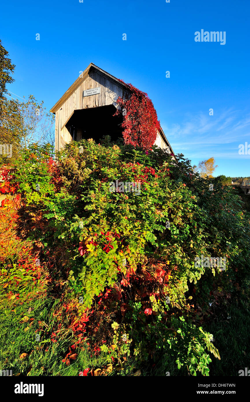 Una coperta in legno ponte costruito nel 1908 attraversando il fiume di salmoni di Smith Creek vicino a Sussex New Brunswick Foto Stock