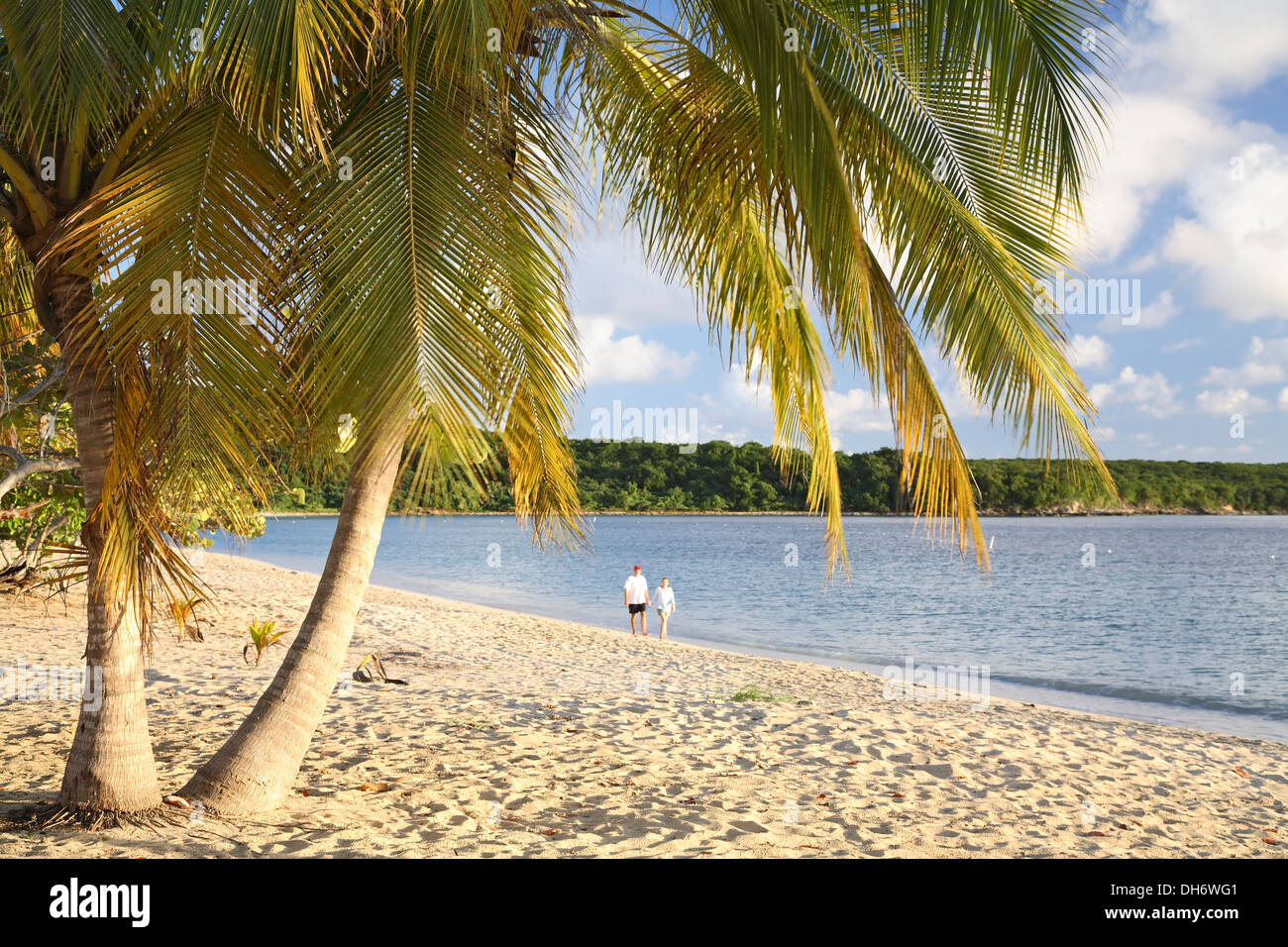 Palme e giovane camminando sulla spiaggia, Sombe (Sun Bay), Vieques, Puerto Rico Foto Stock