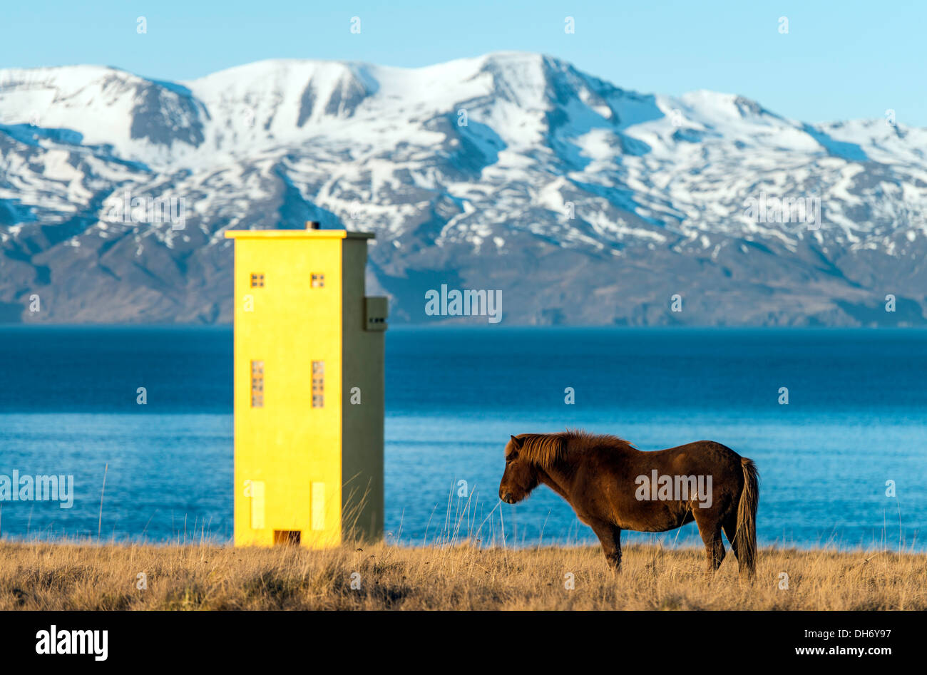 Faro di Husavik e cavalli Islanda del Nord Europa Foto Stock