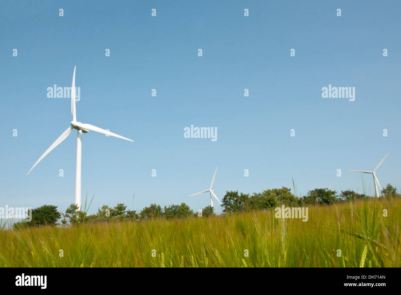 Turbine eoliche sul campo. Esbjerg Danimarca Foto Stock