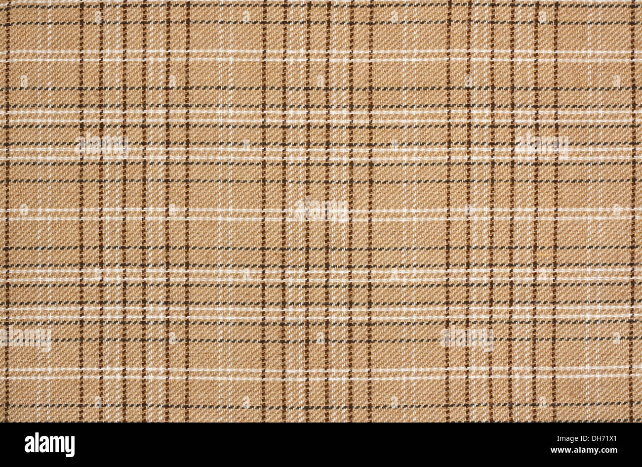 In tartan beige sfondo una controllata plaid modello di armatura con beige, marrone, bianco e nero Foto Stock