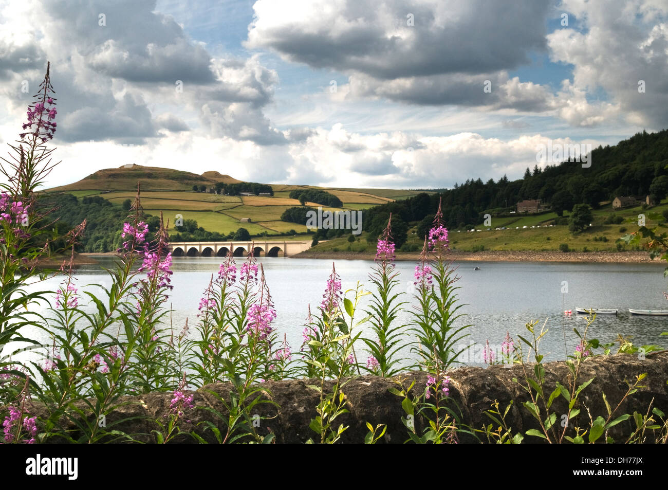 Il colore dell'acqua Lady bower Foto Stock