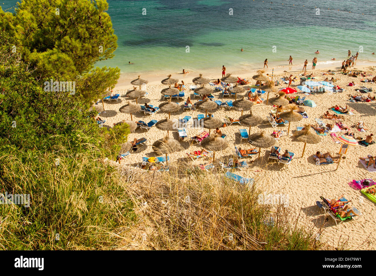 Portals Nous beach, Maiorca, isole Baleari, Spagna. Foto Stock