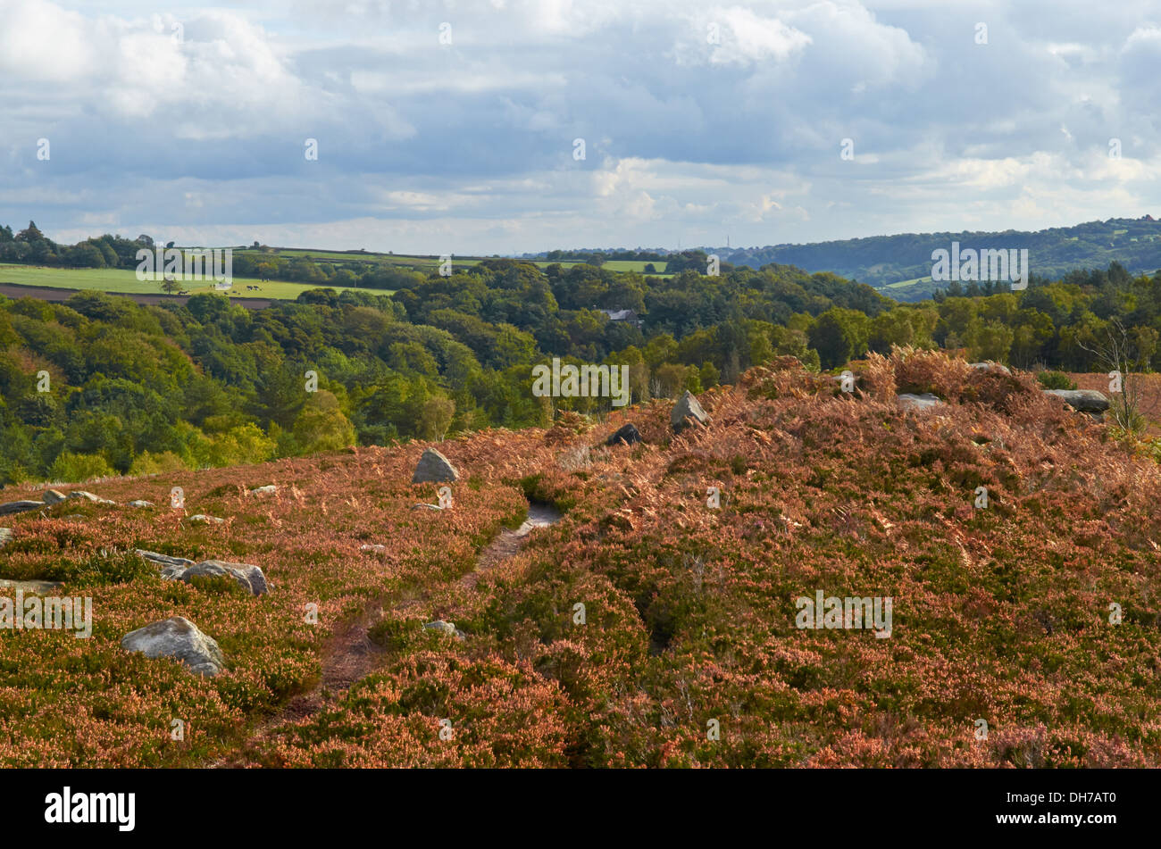 Città di Sheffield dalla testa della banca di pietra - Sheffield, England, Regno Unito Foto Stock