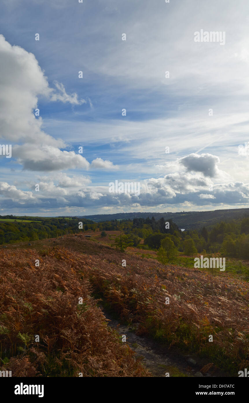 Città di Sheffield dalla testa della banca di pietra - Sheffield, England, Regno Unito Foto Stock