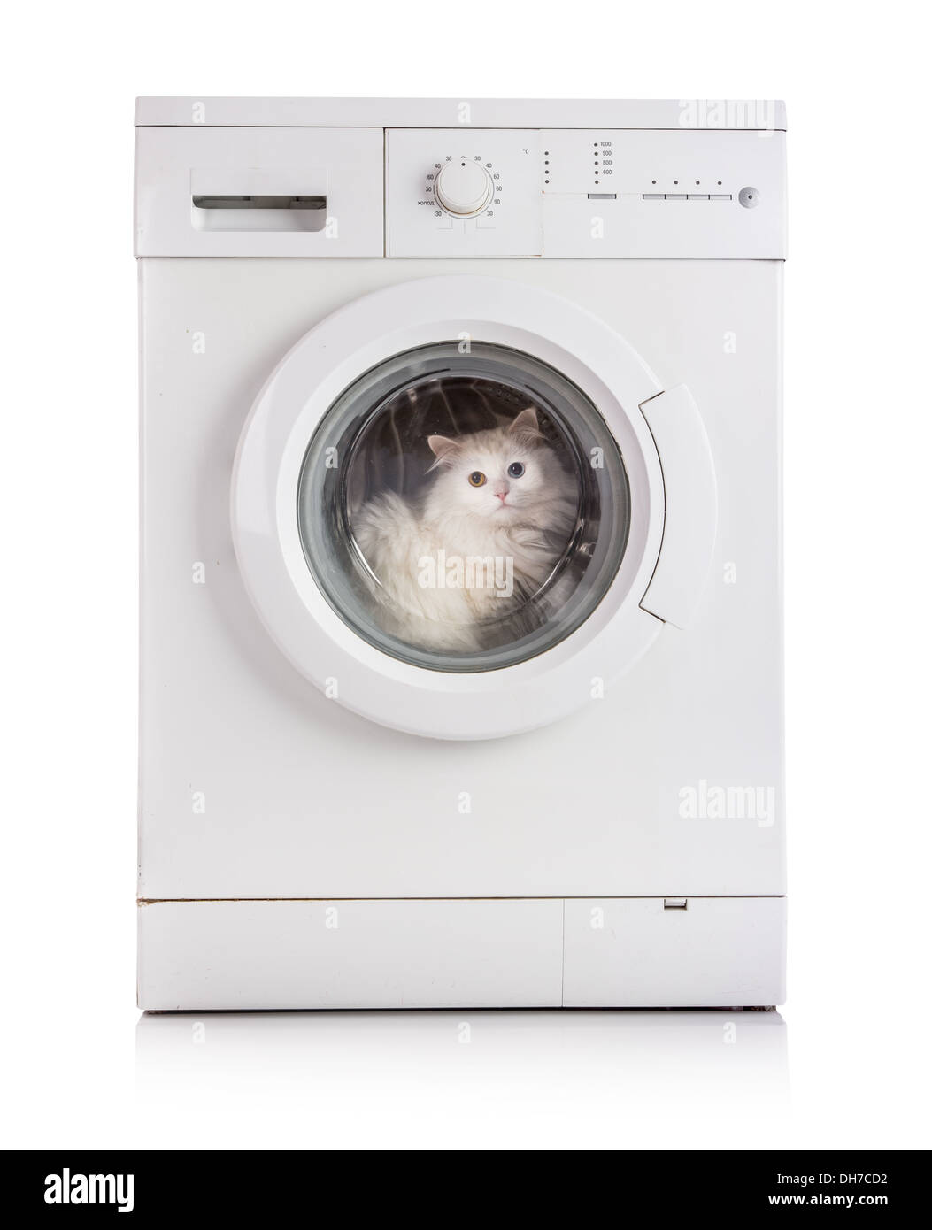 Macchina di lavaggio e il gatto bianco Foto Stock