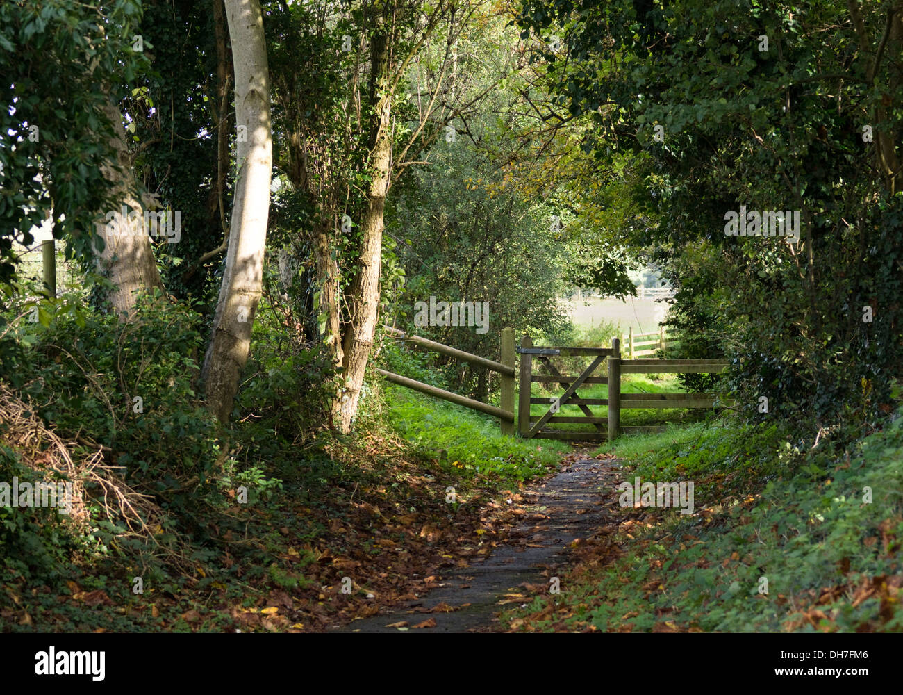 Lacock villaggio nel Wiltshire, Inghilterra UK Autunno lane e il percorso Foto Stock