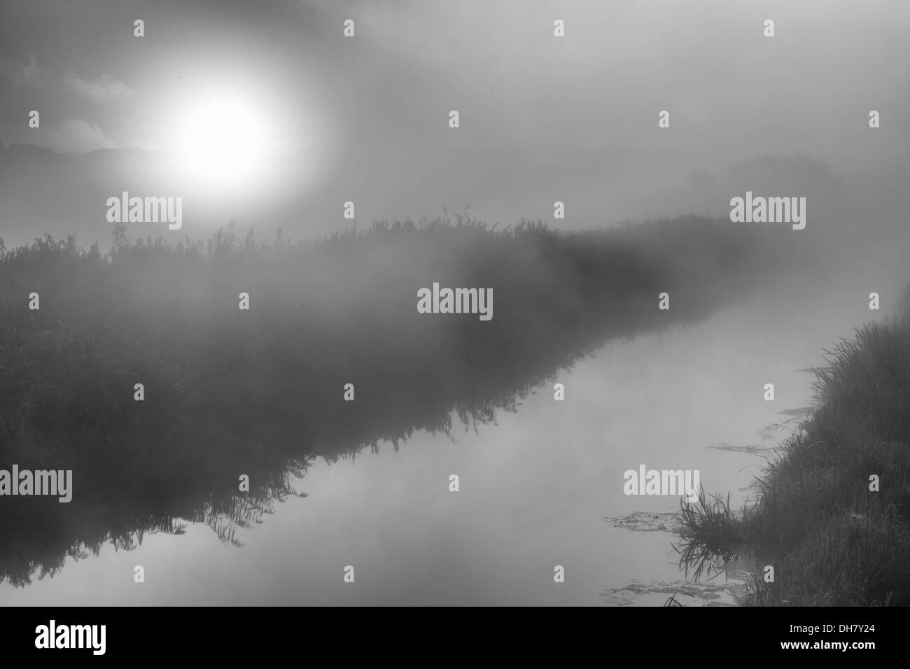 Alba sul fiume Brue in una nebbiosa mattina di settembre. Questo punto di vista è dal ponte stradale noto come cowbridge Foto Stock