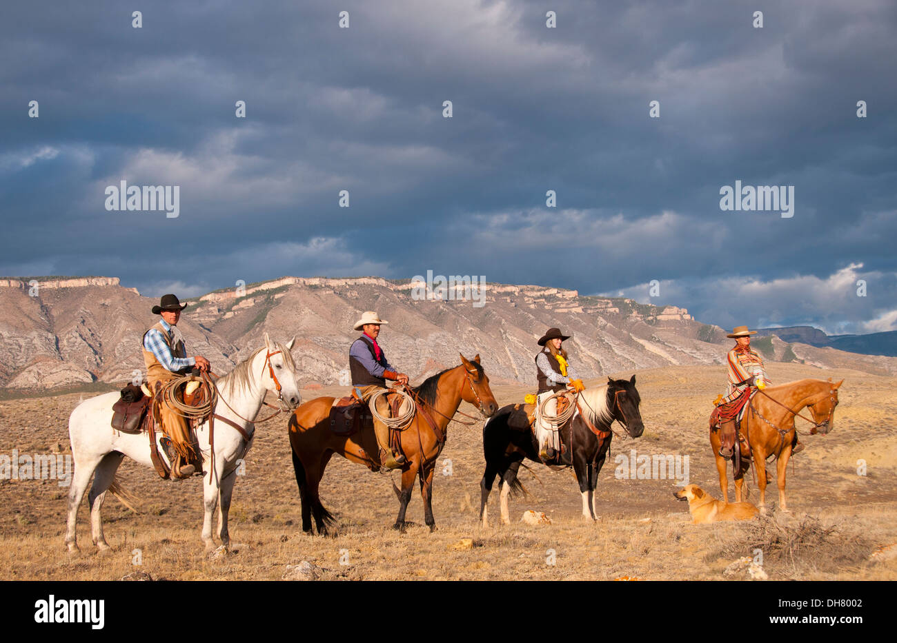 I cowboys e cowgirls a cavallo nella Bighorn Mountains del Wyoming Foto Stock