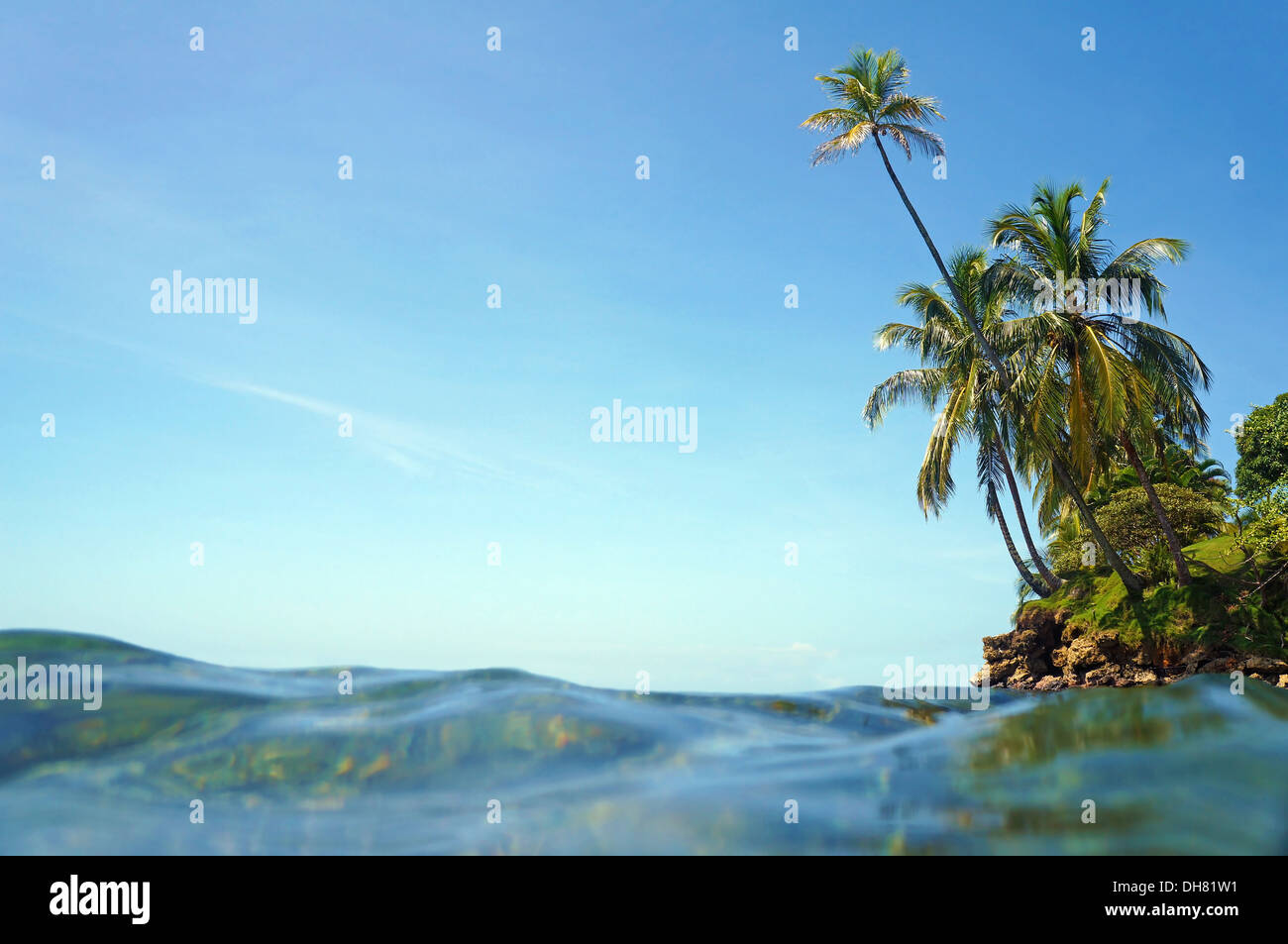 Superficie di acqua e cielo blu con alberi di noce di cocco proteso verso il mare Foto Stock