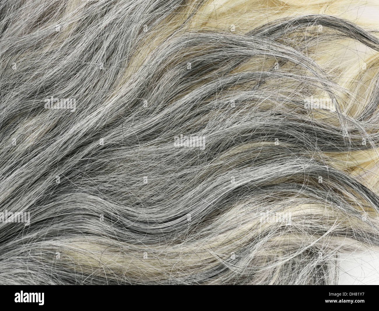 Capelli grigi Texture di sfondo Foto Stock