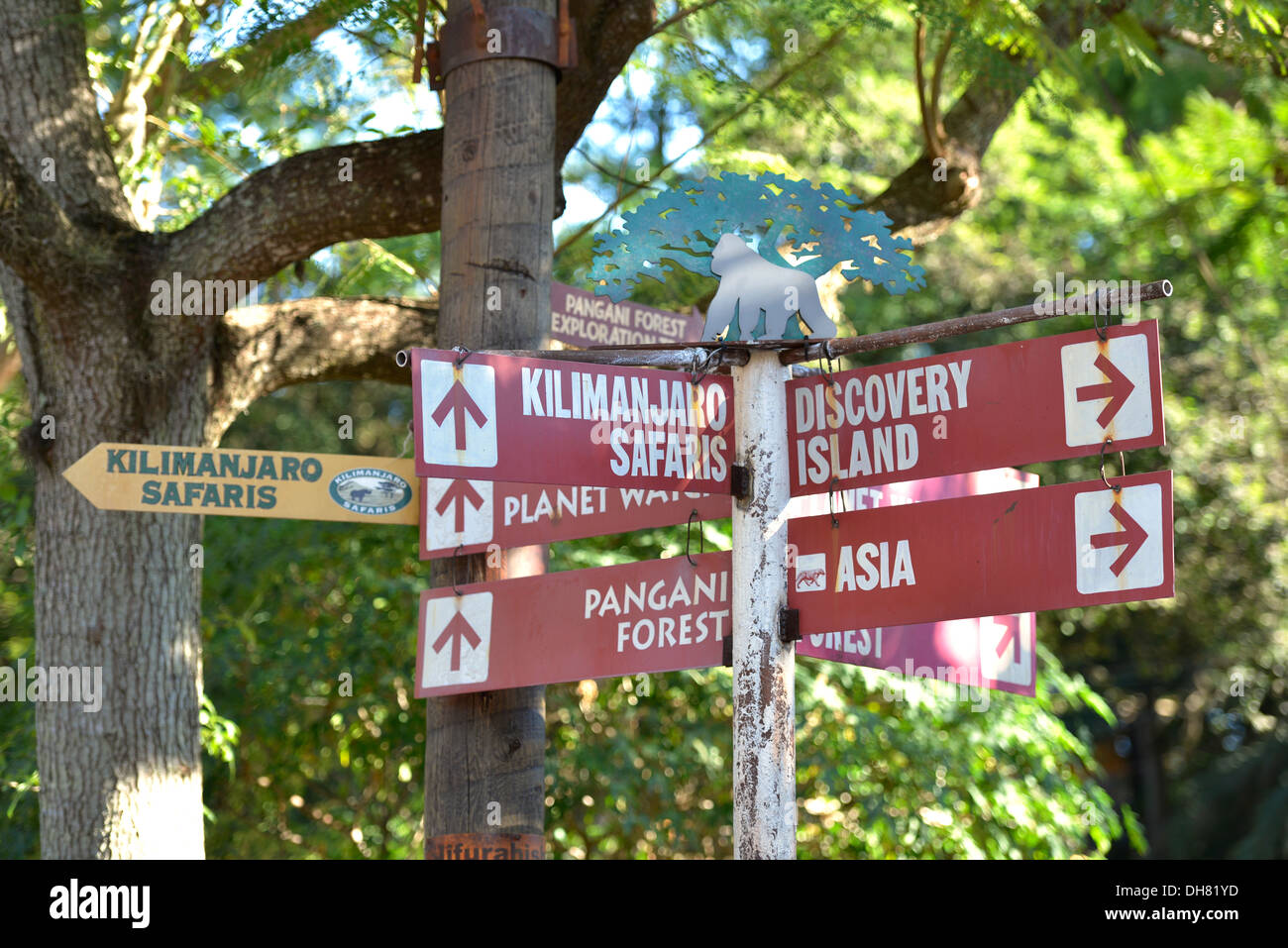 Regno animale, direzioni di segno segnaletica per Kilimanjaro Safari Pangani Forest Discovery Island, Disney World, a Orlando in Florida Foto Stock