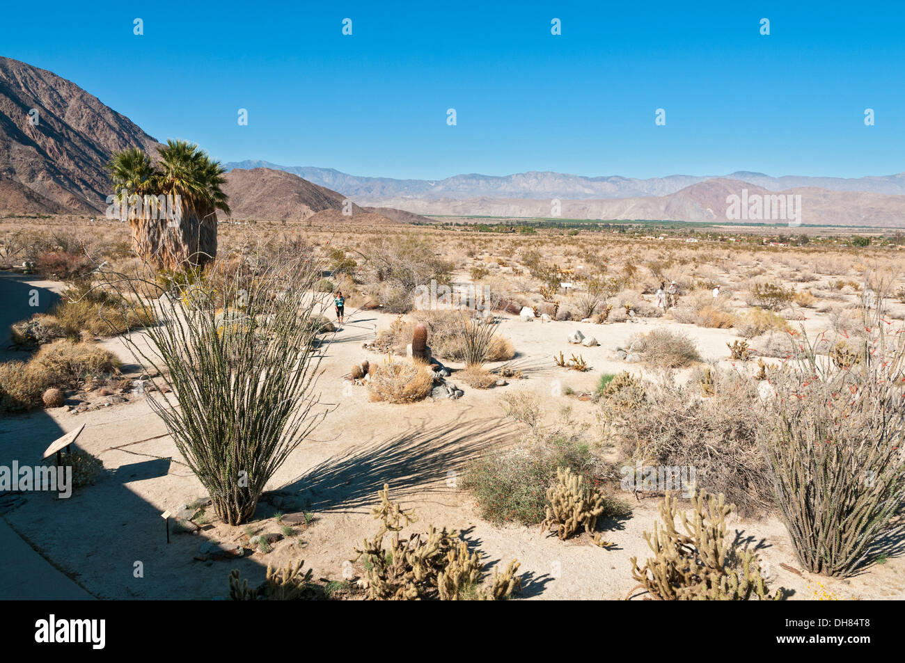 California, San Diego County, Anza-Borrego Desert State Park, Centro Visitatori, Desert Garden Trail Foto Stock