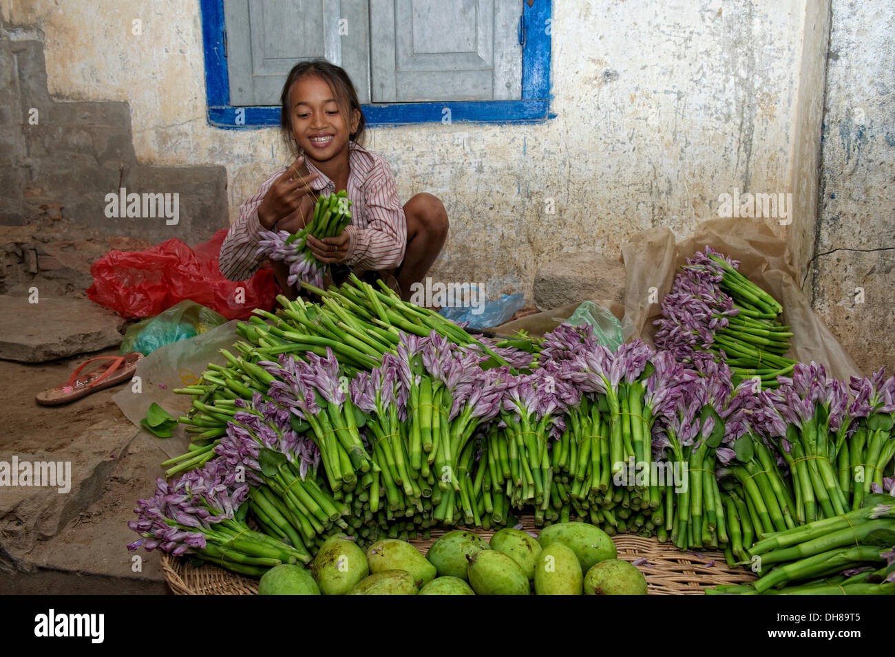 Ragazza vendita di ninfee in un mercato, Siem Reap, Siem Reap, Siem Reap Provincia, Cambogia Foto Stock