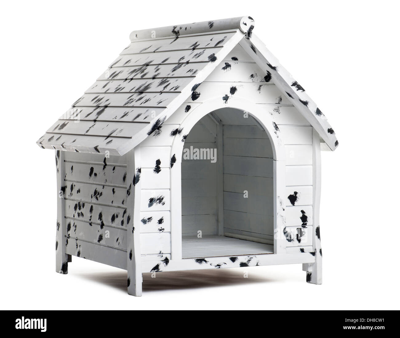 Fossa di scolo del cane su sfondo bianco Foto Stock