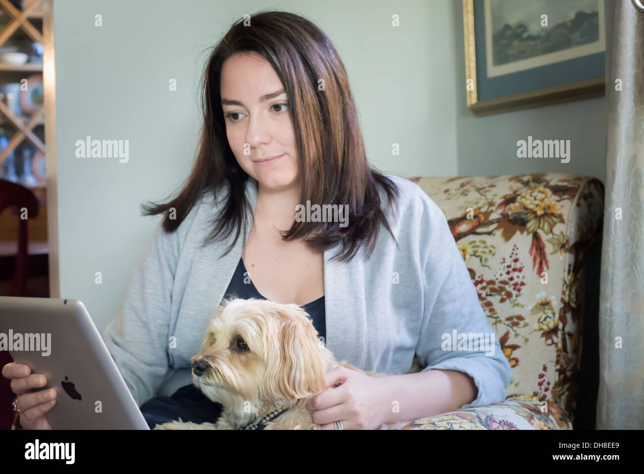 I Pad e Donna di lettura con una piccola razza cane in un ambiente domestico. Foto Stock