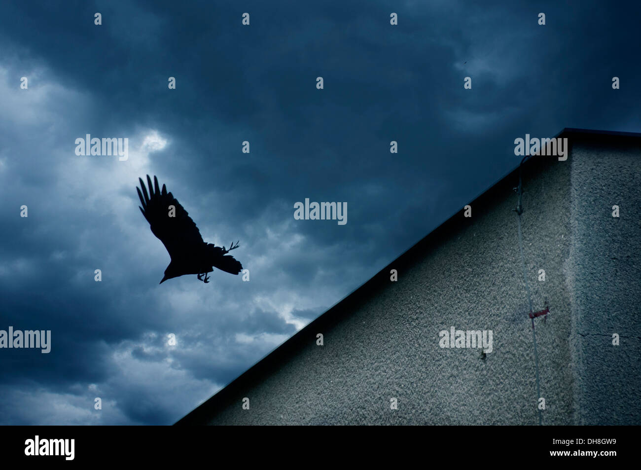 Crow volare lontano da un tetto Foto Stock