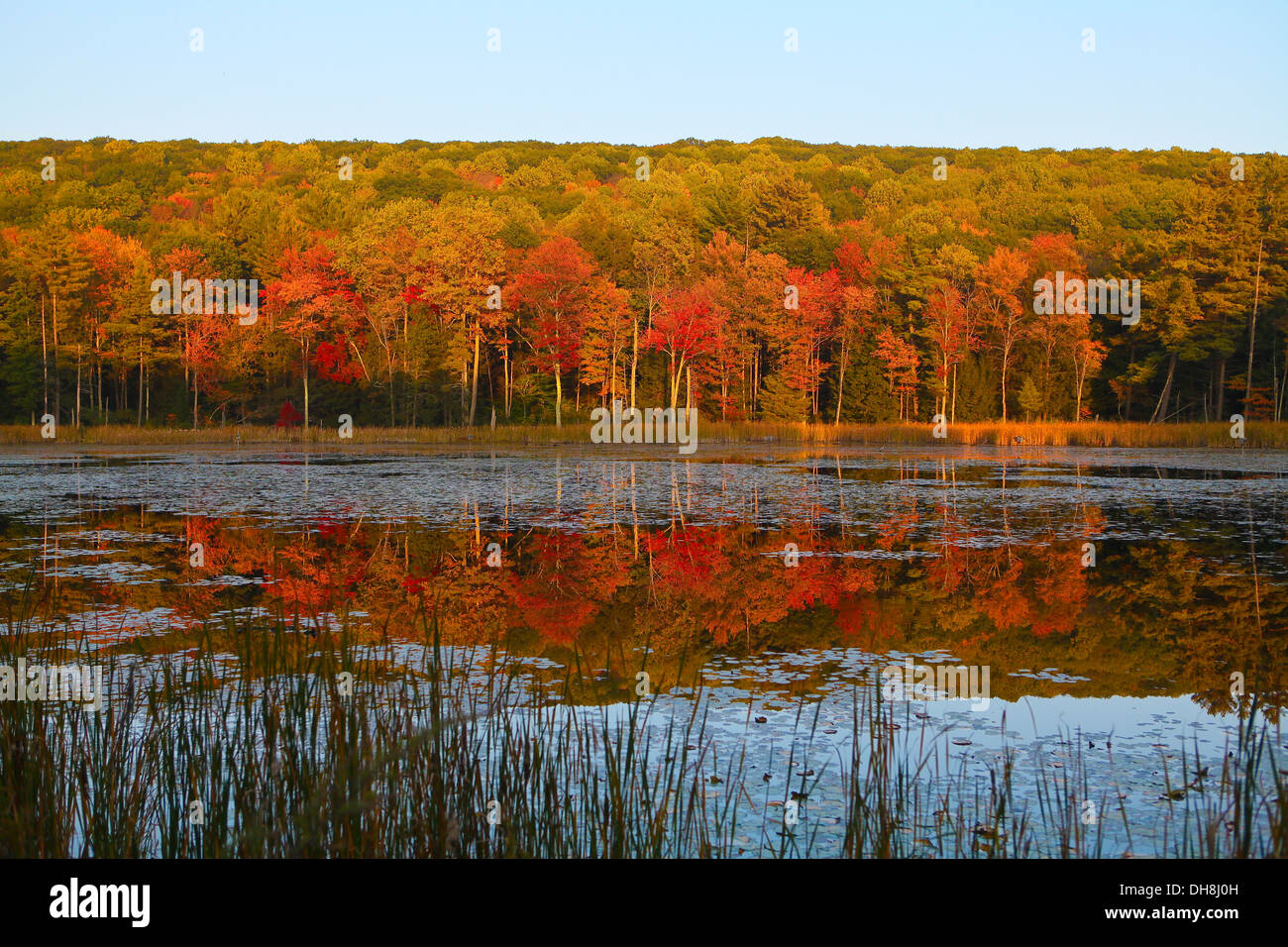 Colori autunnali sono riflesse in un piccolo lago nel laghetto Fontana Park vicino a Great Barrington in Berkshire County, Massachusetts Foto Stock