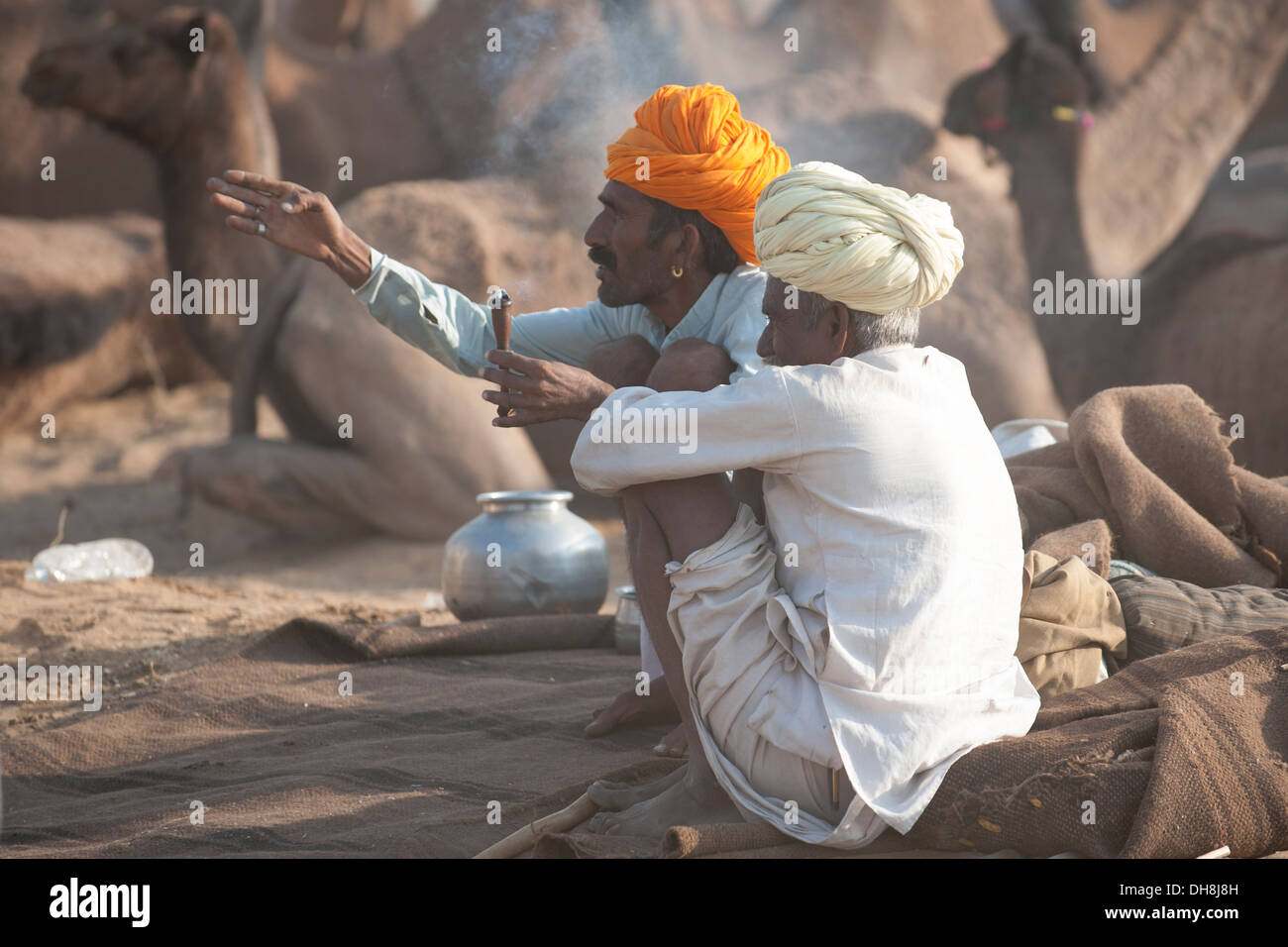 Camel herder con cammelli verso il Pushkar Camel Fair Foto Stock